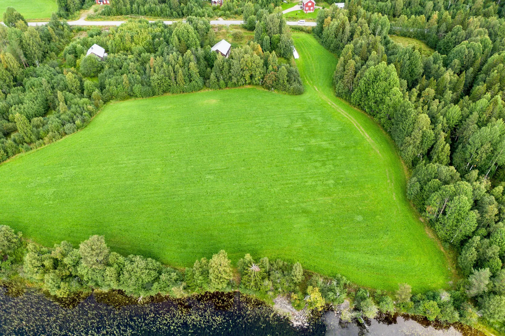 Gård/Skog, Örnsköldsvik Långvattnet 1:68, Långviksmon, Örnsköldsvik