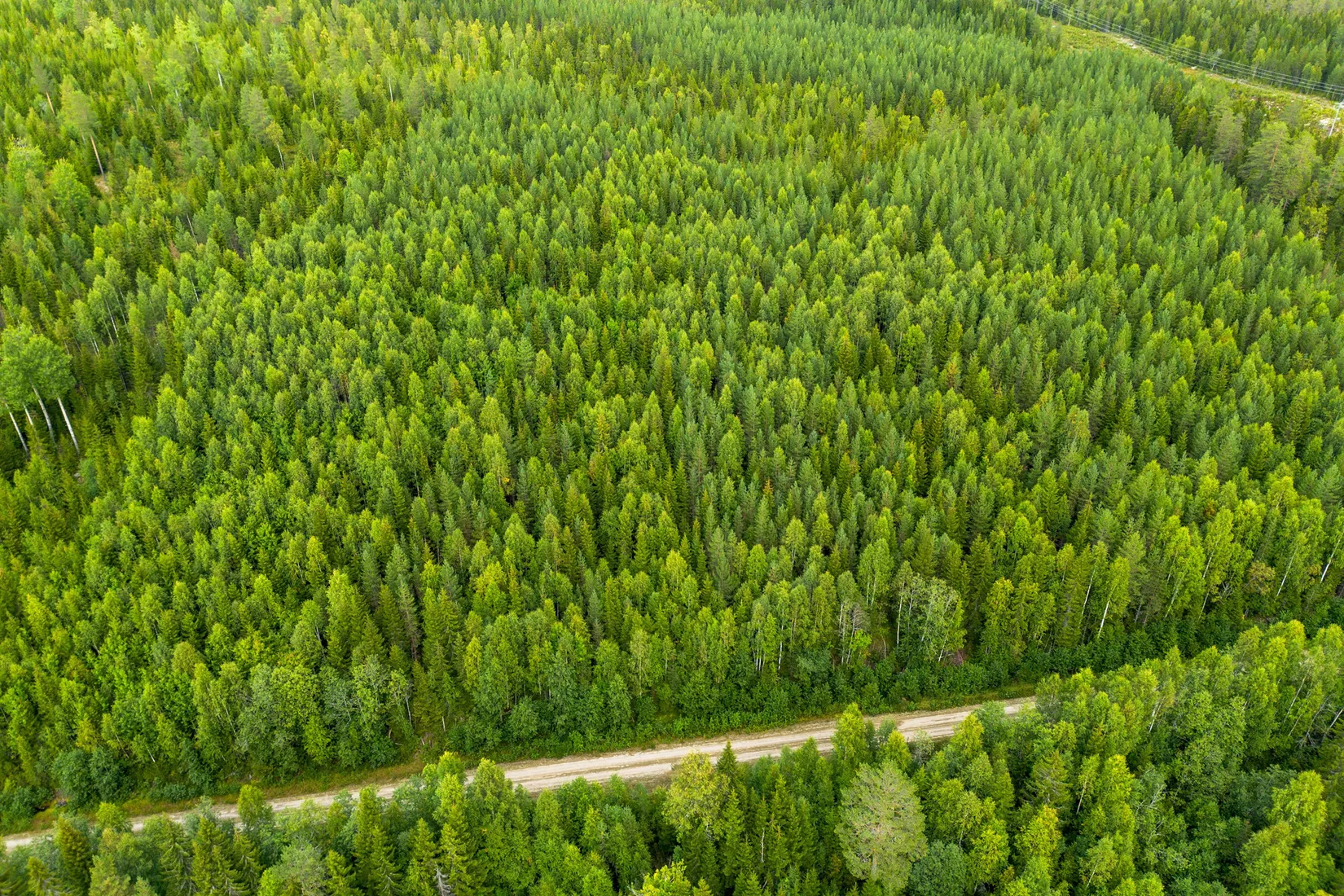 Gård/Skog, Örnsköldsvik Långvattnet 1:68, Långviksmon, Örnsköldsvik