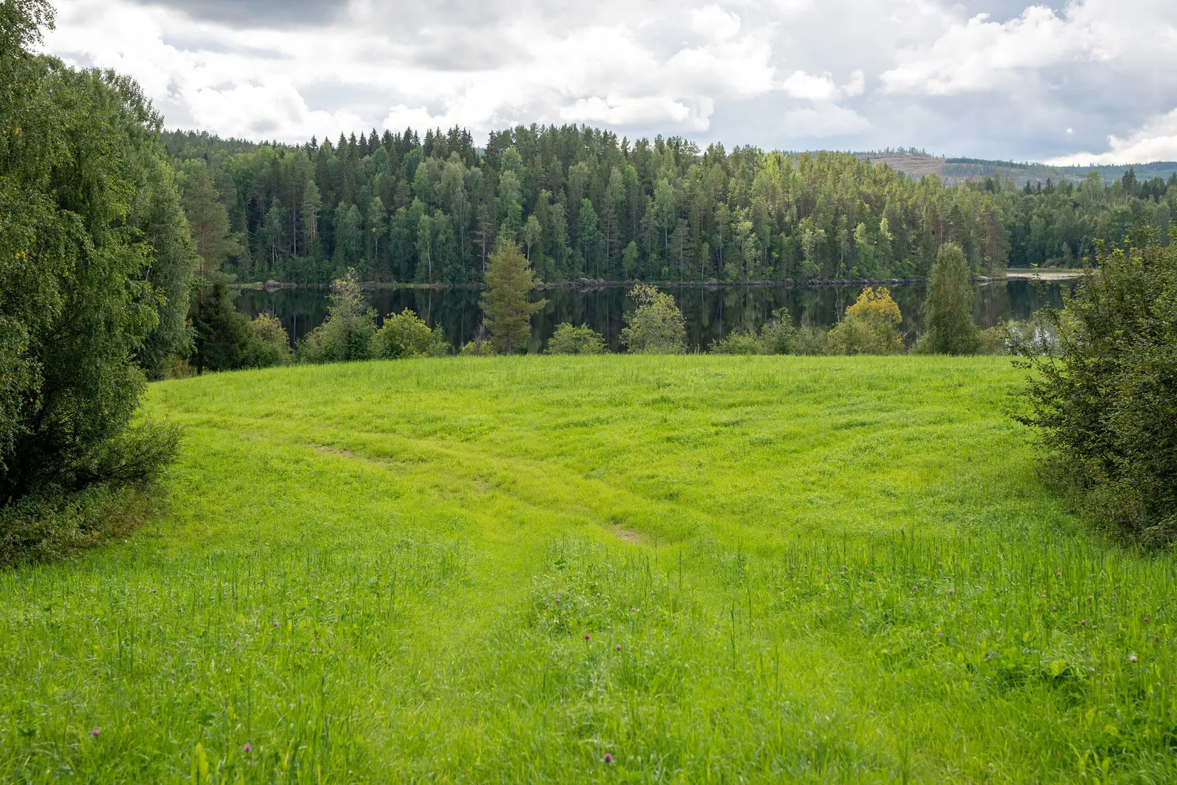 Gård/Skog, Örnsköldsvik Långvattnet 1:68, Långviksmon, Örnsköldsvik