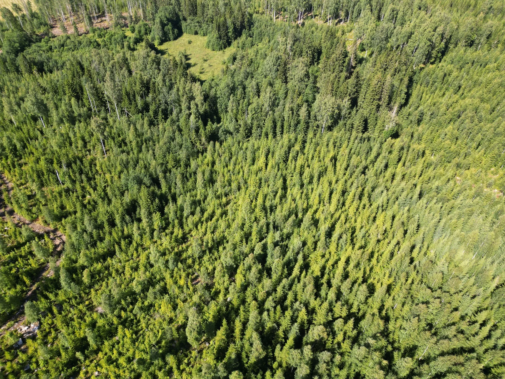Gård/Skog, NORDANSTIG VÄSTERGRÄNGSJÖ 3:6, Gnarp, Nordanstig