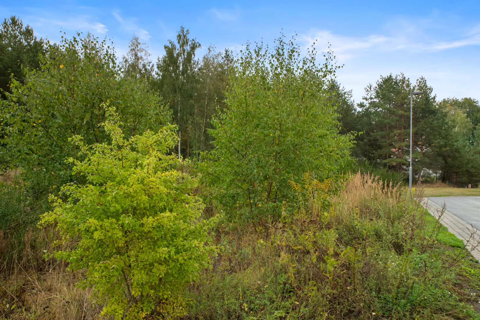 Tomt, Henningsbergsvägen 43, Färlöv invid golfbana, Kristianstad