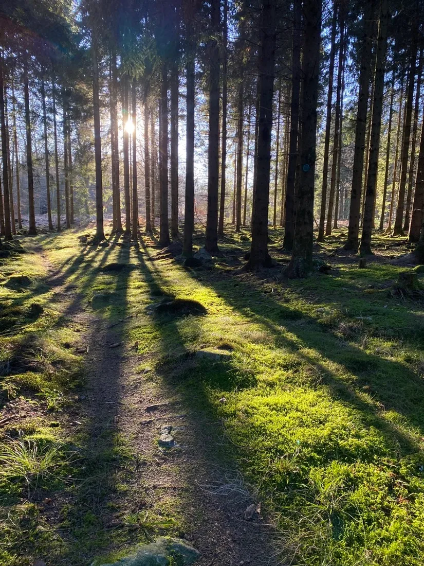 Villa, Jularp Björkstigen 6, Jularp, Höör