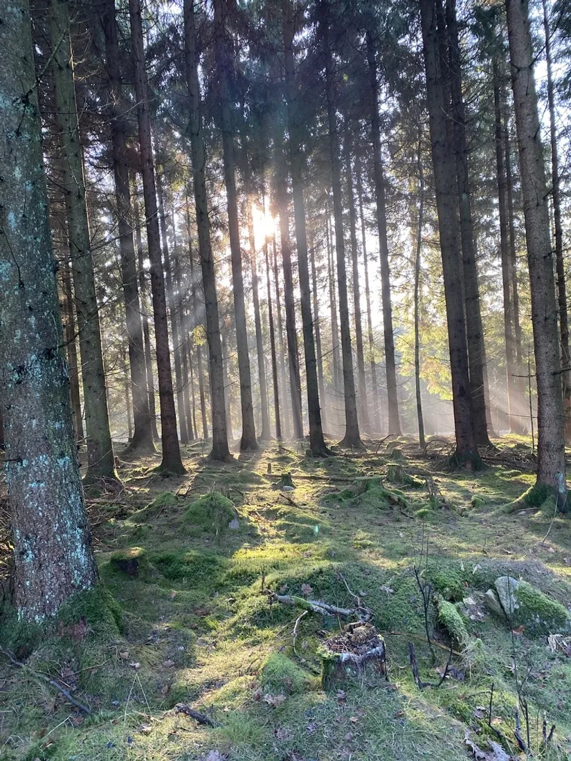Villa, Jularp Björkstigen 6, Jularp, Höör