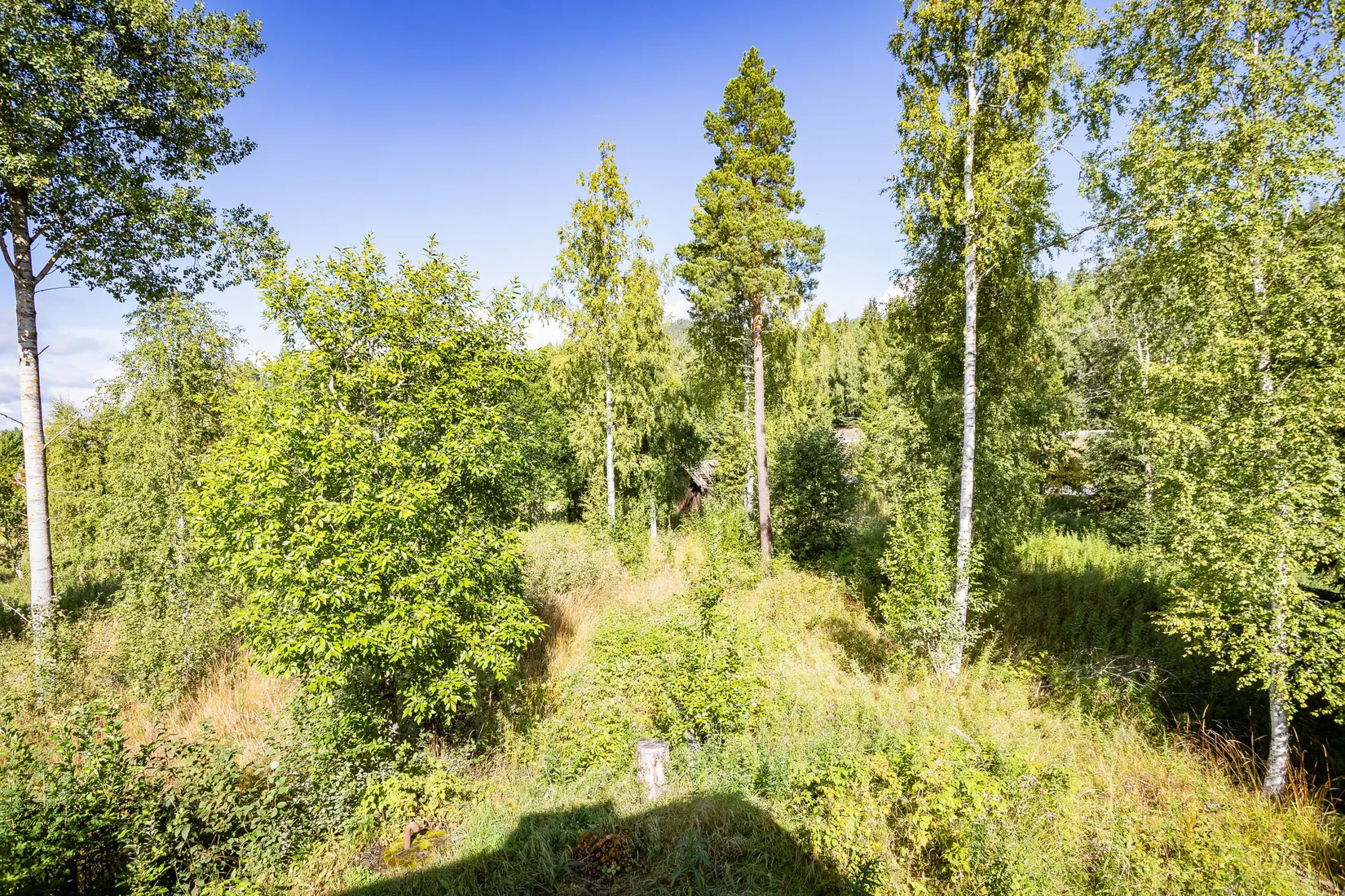Gård/Skog, Johannisberg 622, Ljungaverk, Ånge