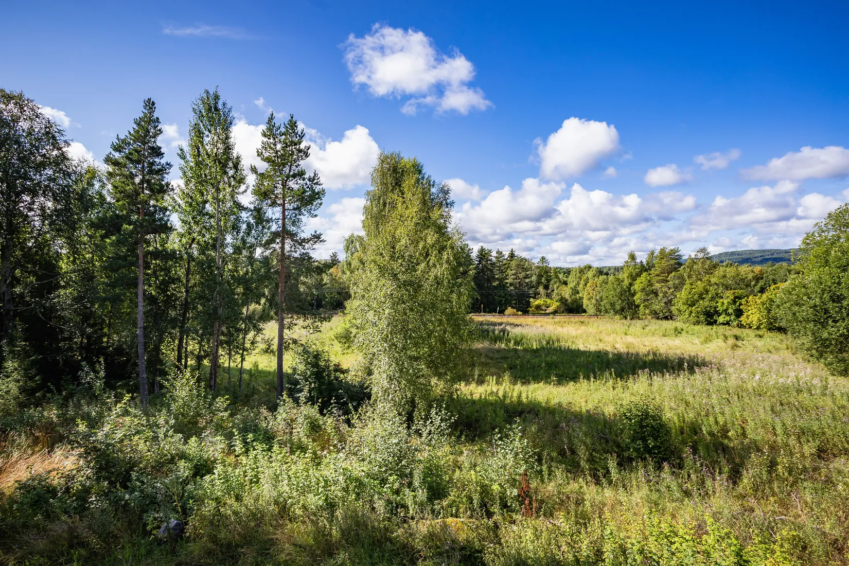 Gård/Skog, Johannisberg 622, Ljungaverk, Ånge