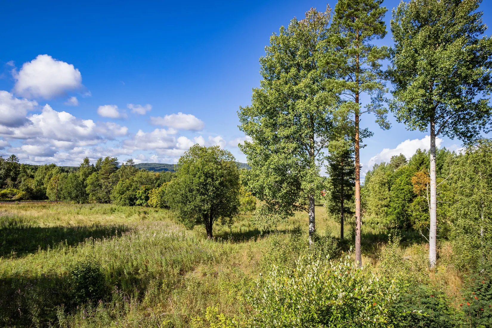 Gård/Skog, Johannisberg 622, Ljungaverk, Ånge