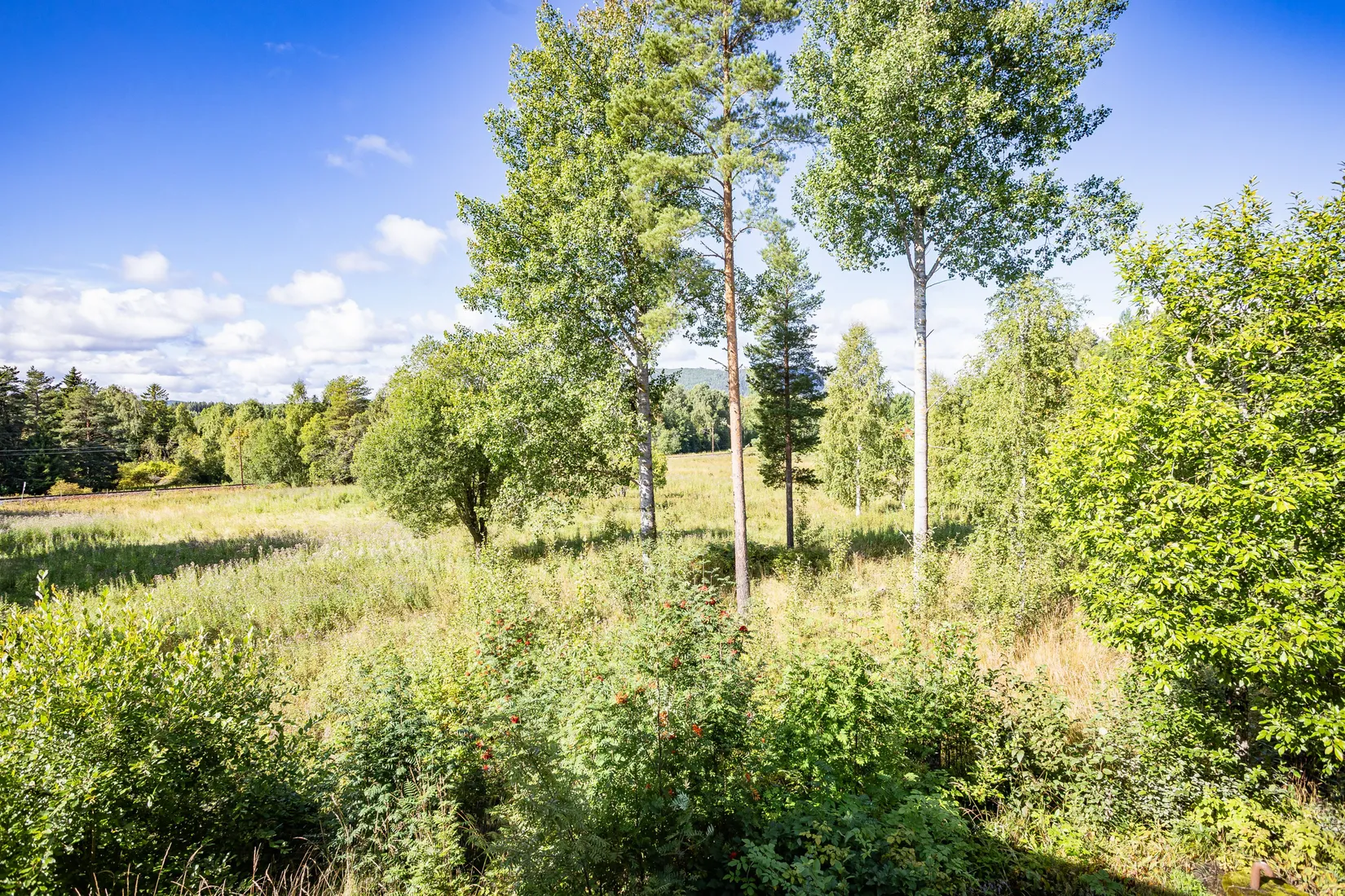 Gård/Skog, Johannisberg 622, Ljungaverk, Ånge