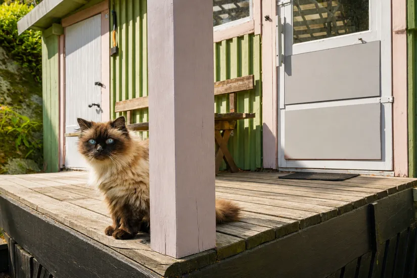 Villa, Doktorsvägen 19, Vidja, Huddinge