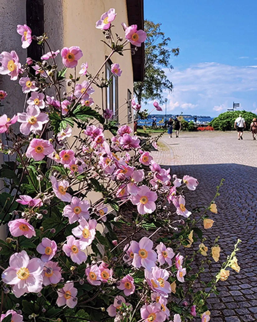 Bostadsrätt, Magnus Erikssons väg 8C, 2 vån, Centralt, Vadstena