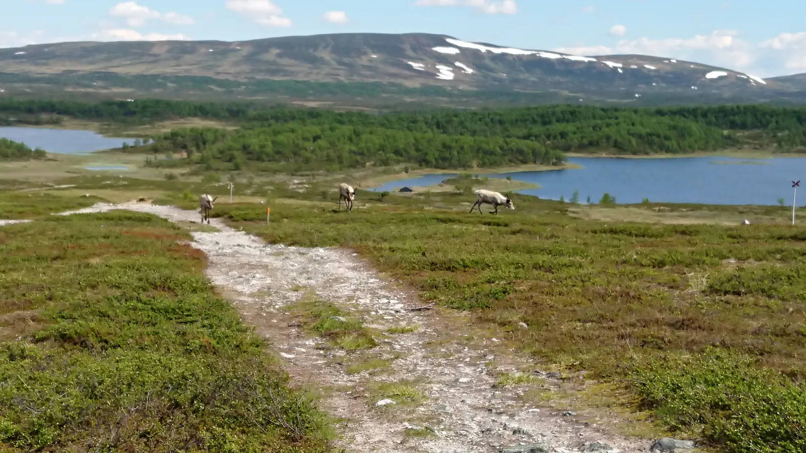 Fritidshus, Hamrahöjden 2, Härjedalen