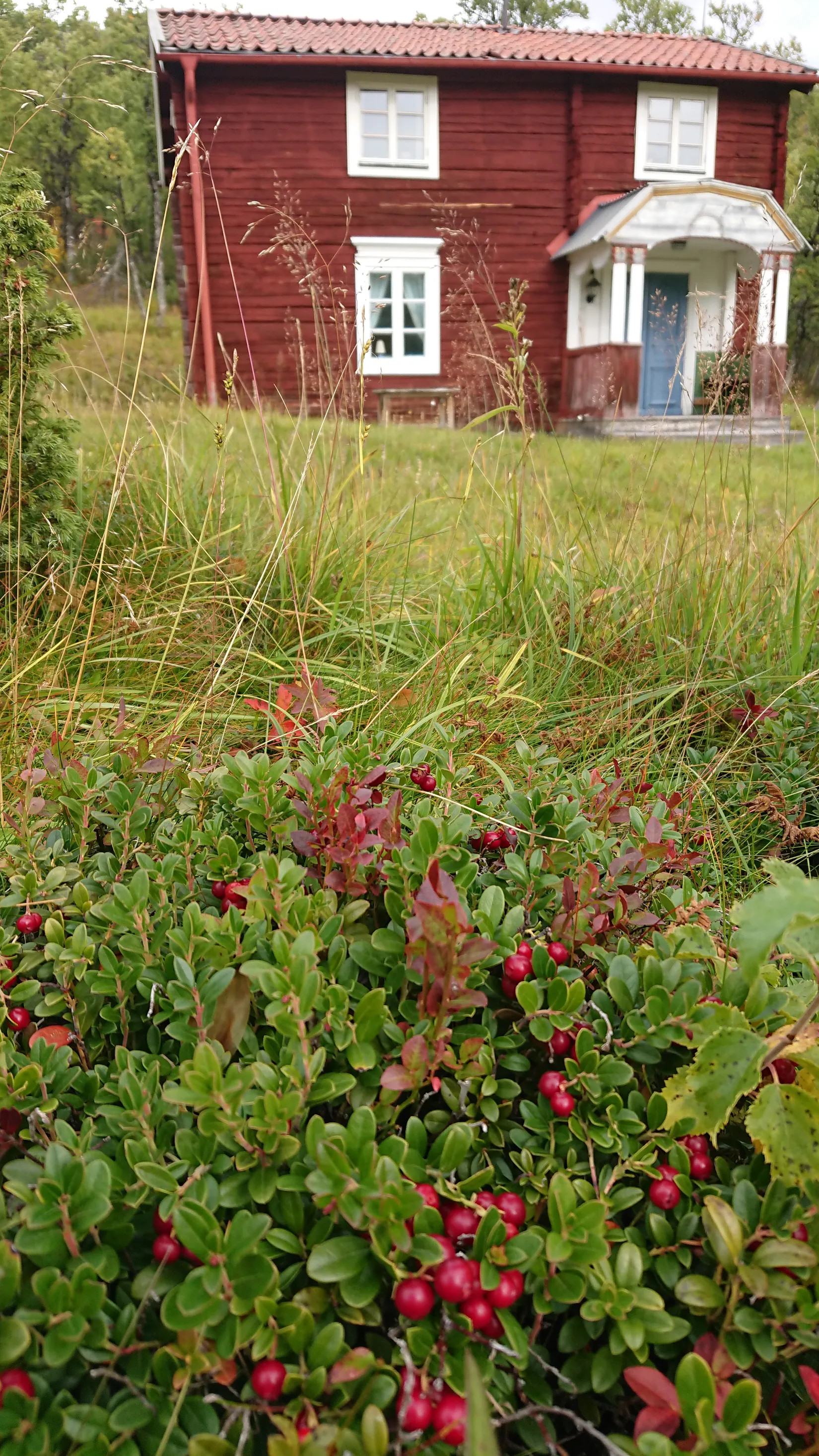 Fritidshus, Hamrahöjden 2, Härjedalen