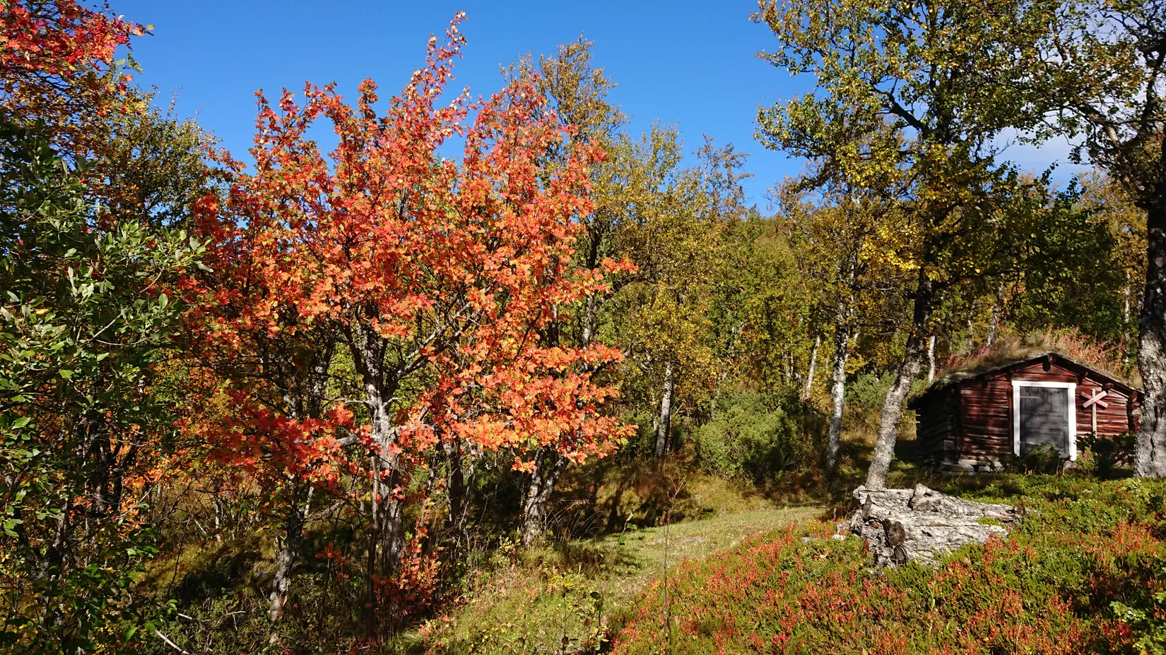 Fritidshus, Hamrahöjden 2, Härjedalen