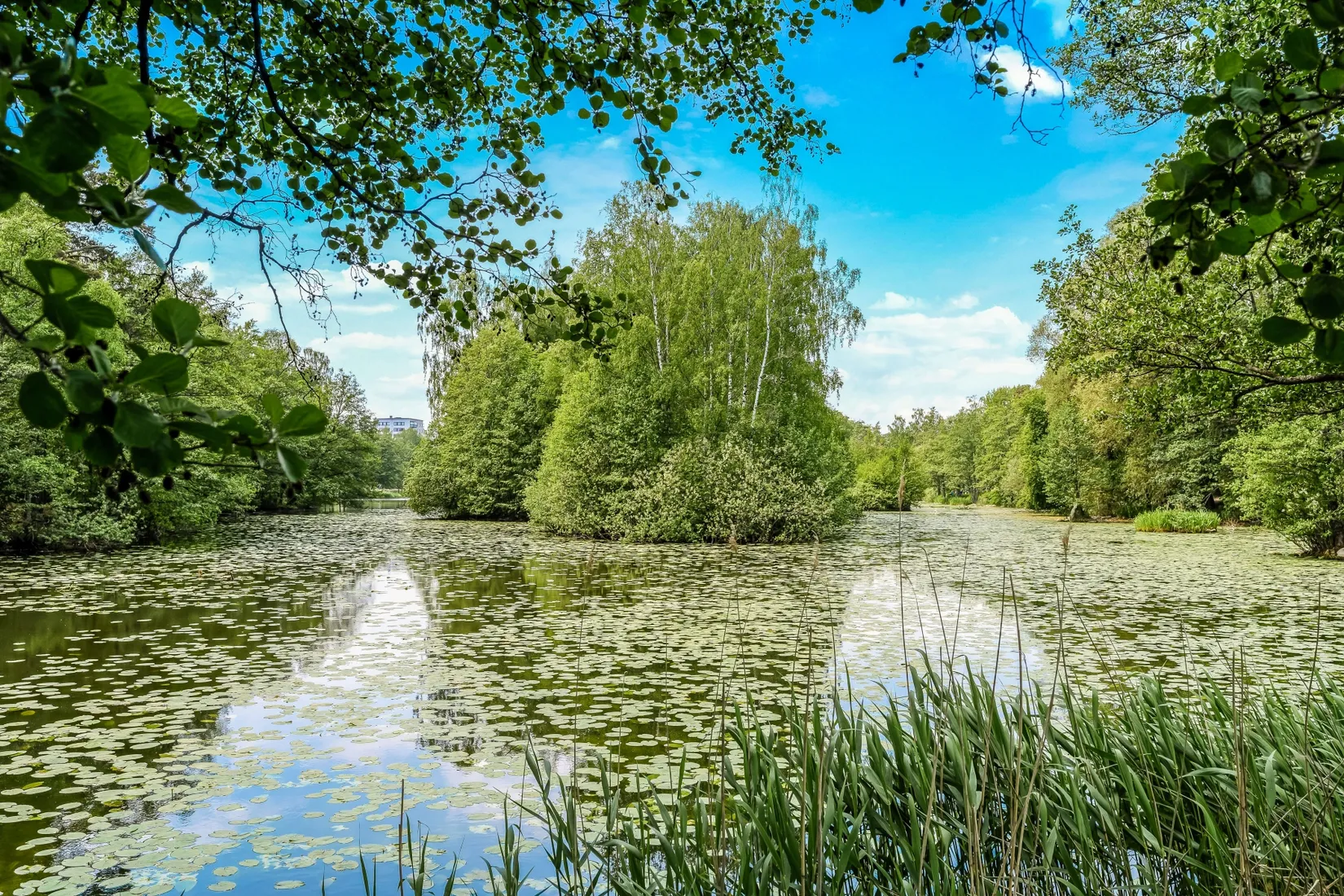 Bostadsrätt, Fridensborgsvägen 155, Järvastaden, Solna