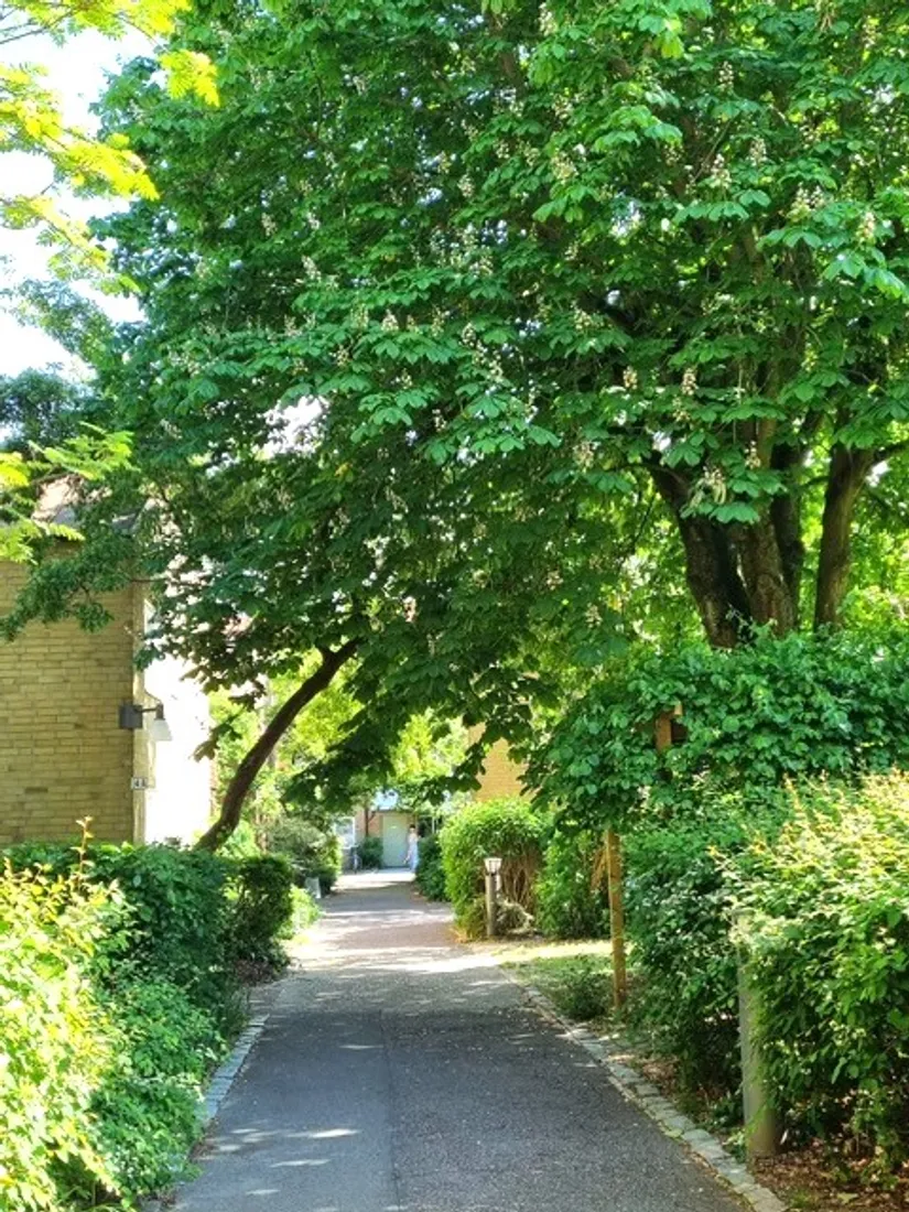 Bostadsrätt, Prennegatan 6C, Centrum, Lund