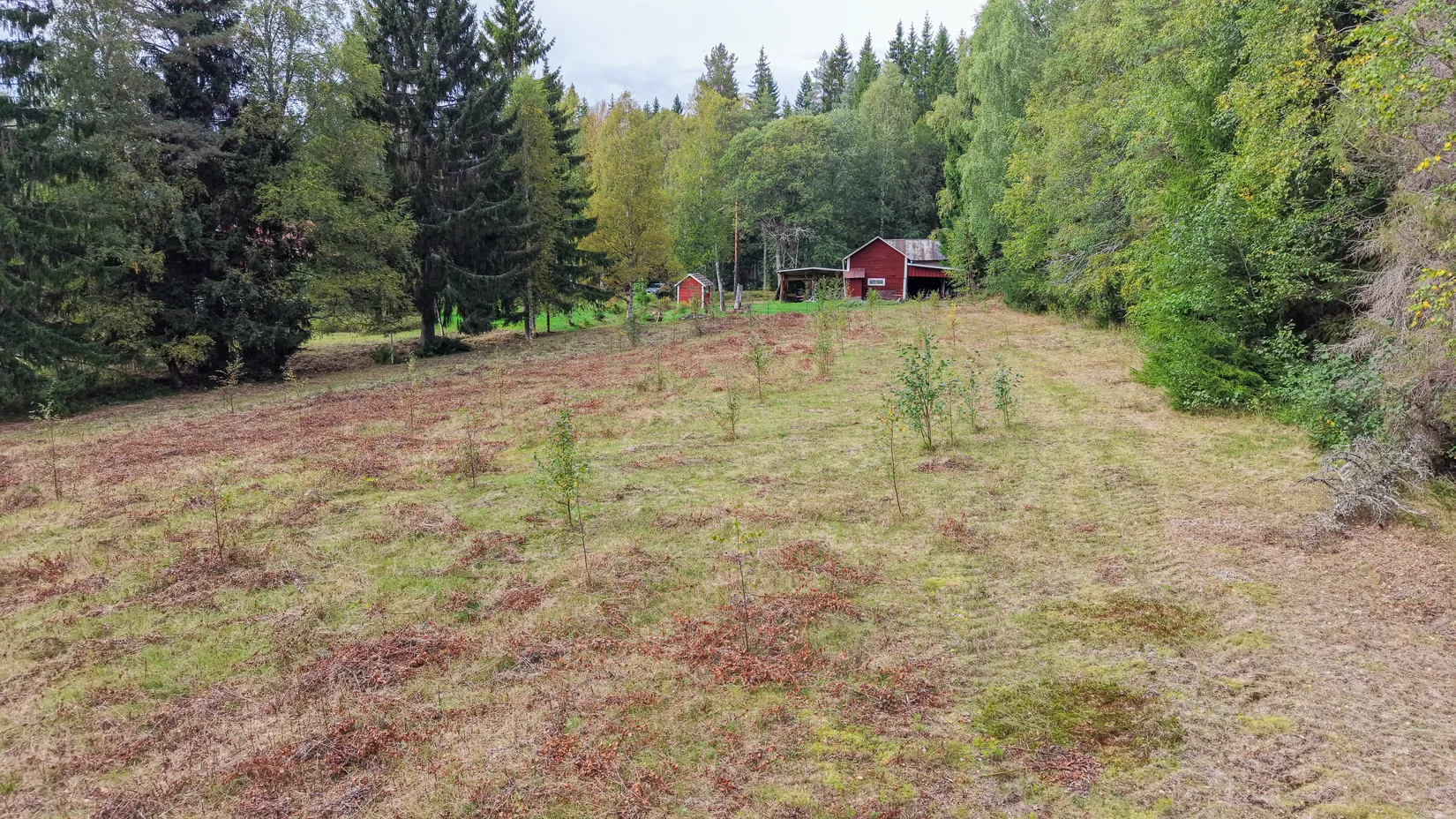 Villa, Faluvägen 274, Ludvika