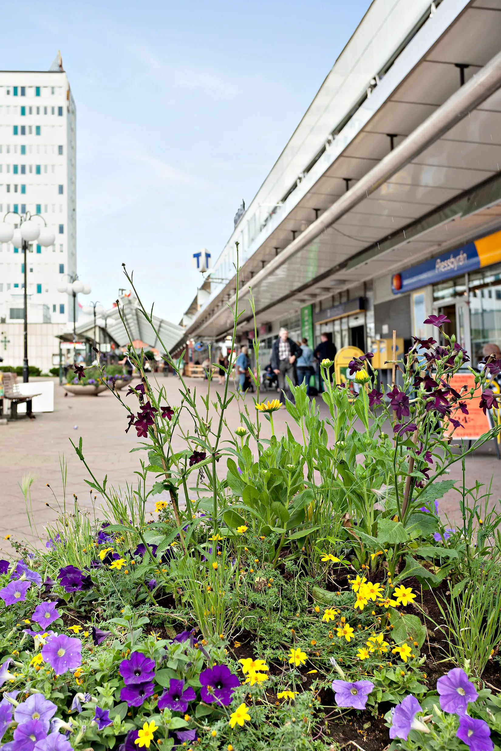 Bostadsrätt, Harpsundsvägen 113, Stockholm