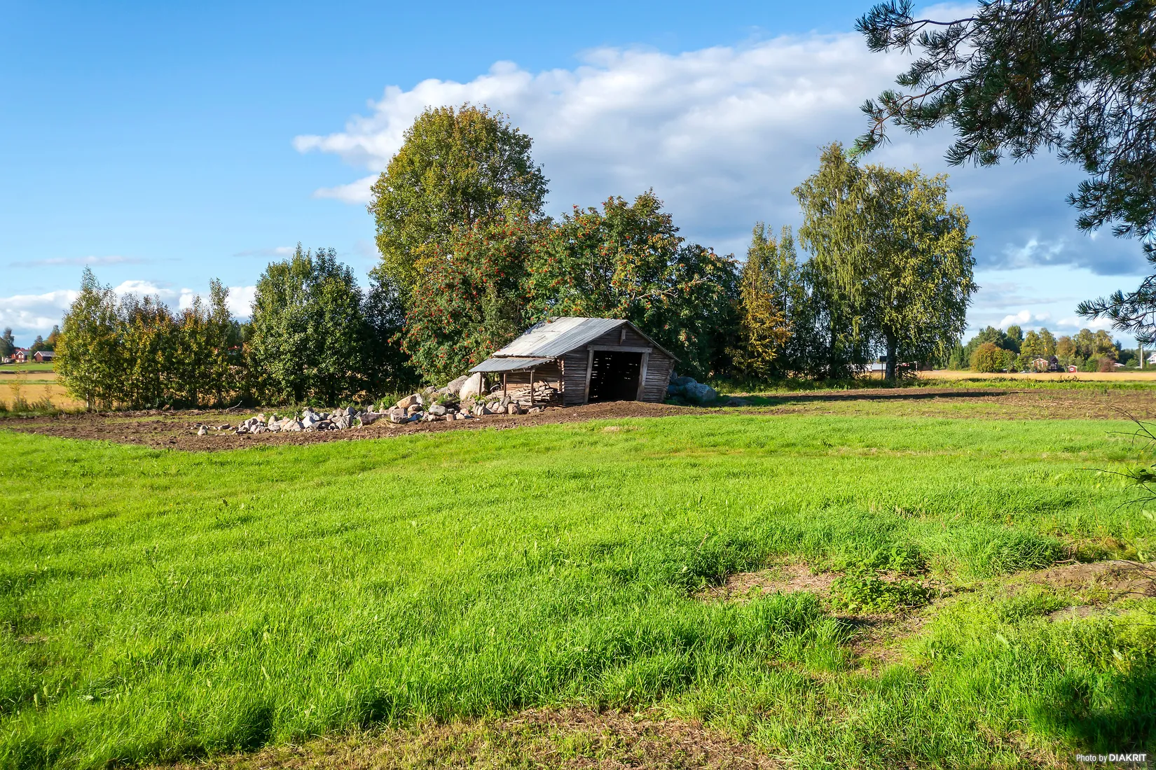 Gård/Skog, Durruddsvägen 120, Piteå
