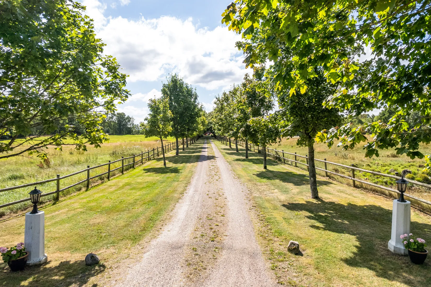 Gård/Skog, Benarp 5392, Hörby