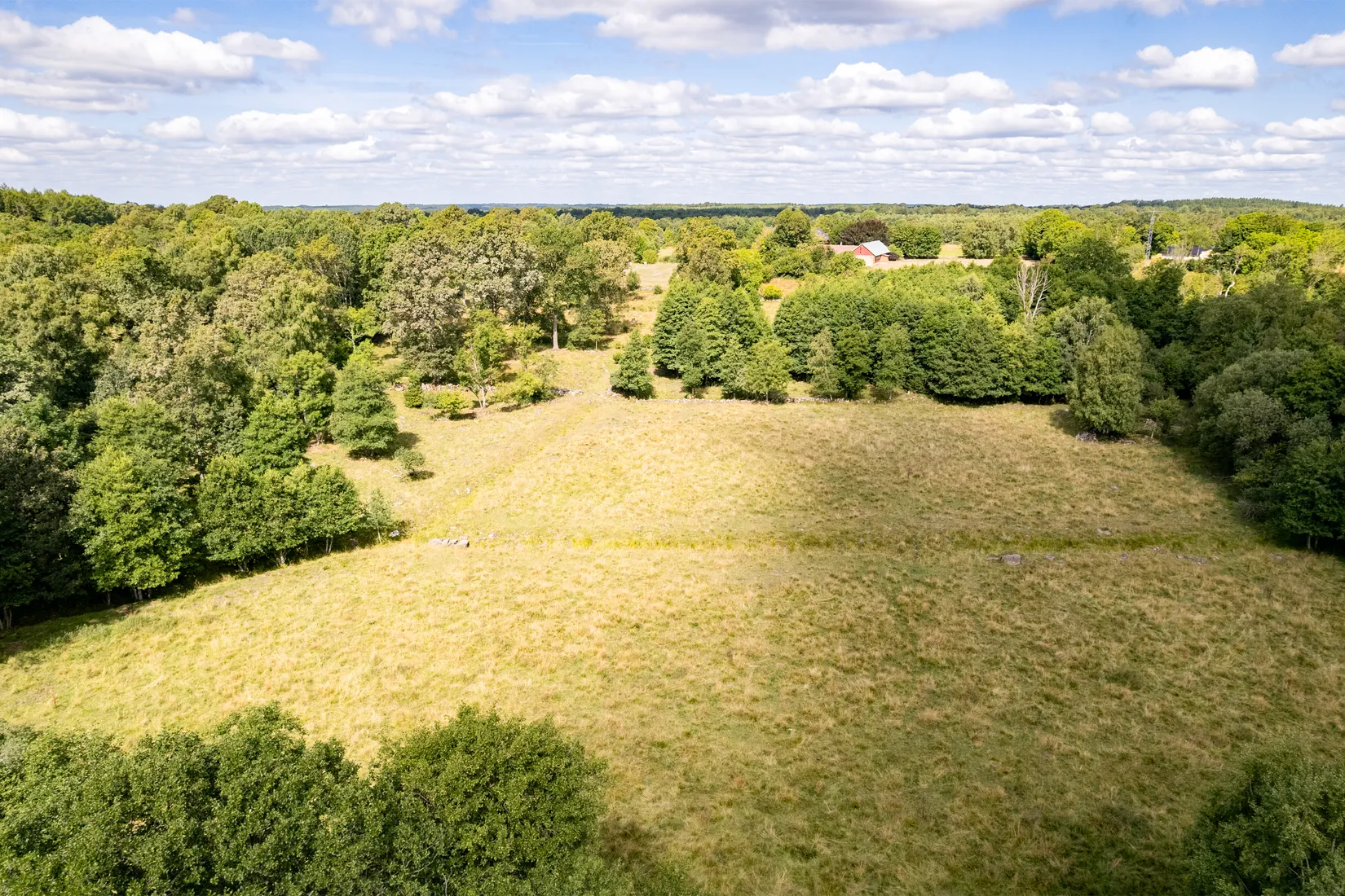 Gård/Skog, Benarp 5392, Hörby