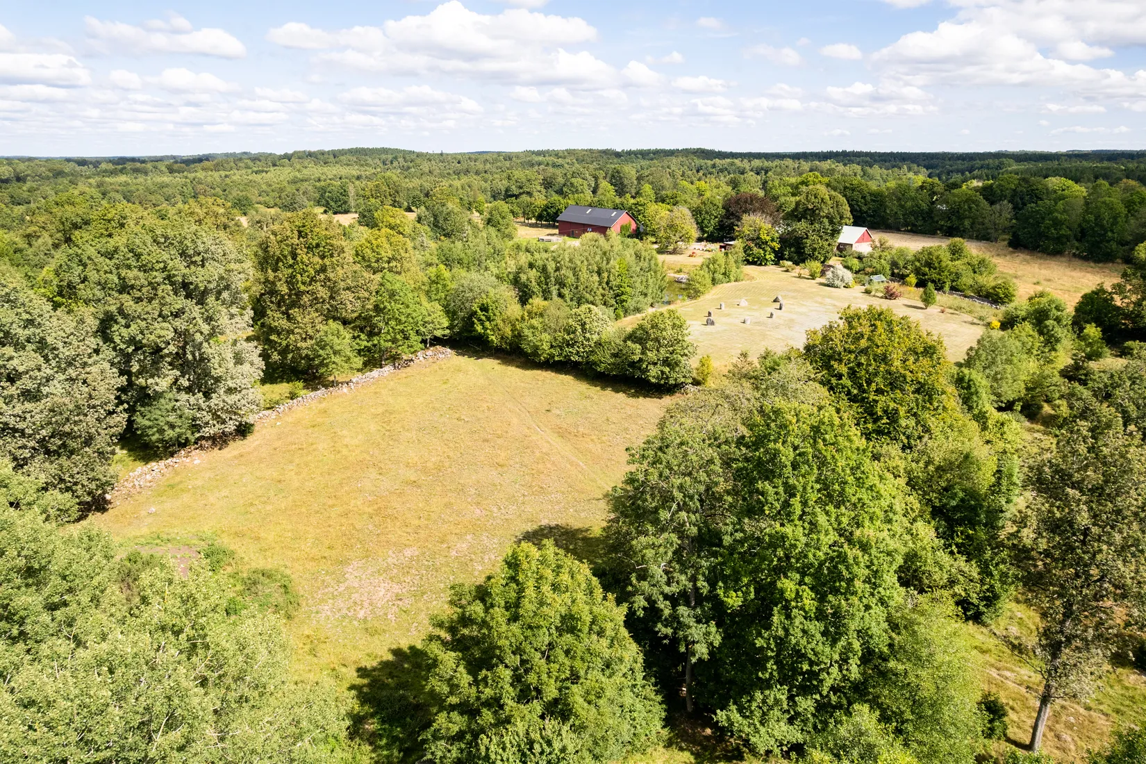 Gård/Skog, Benarp 5392, Hörby