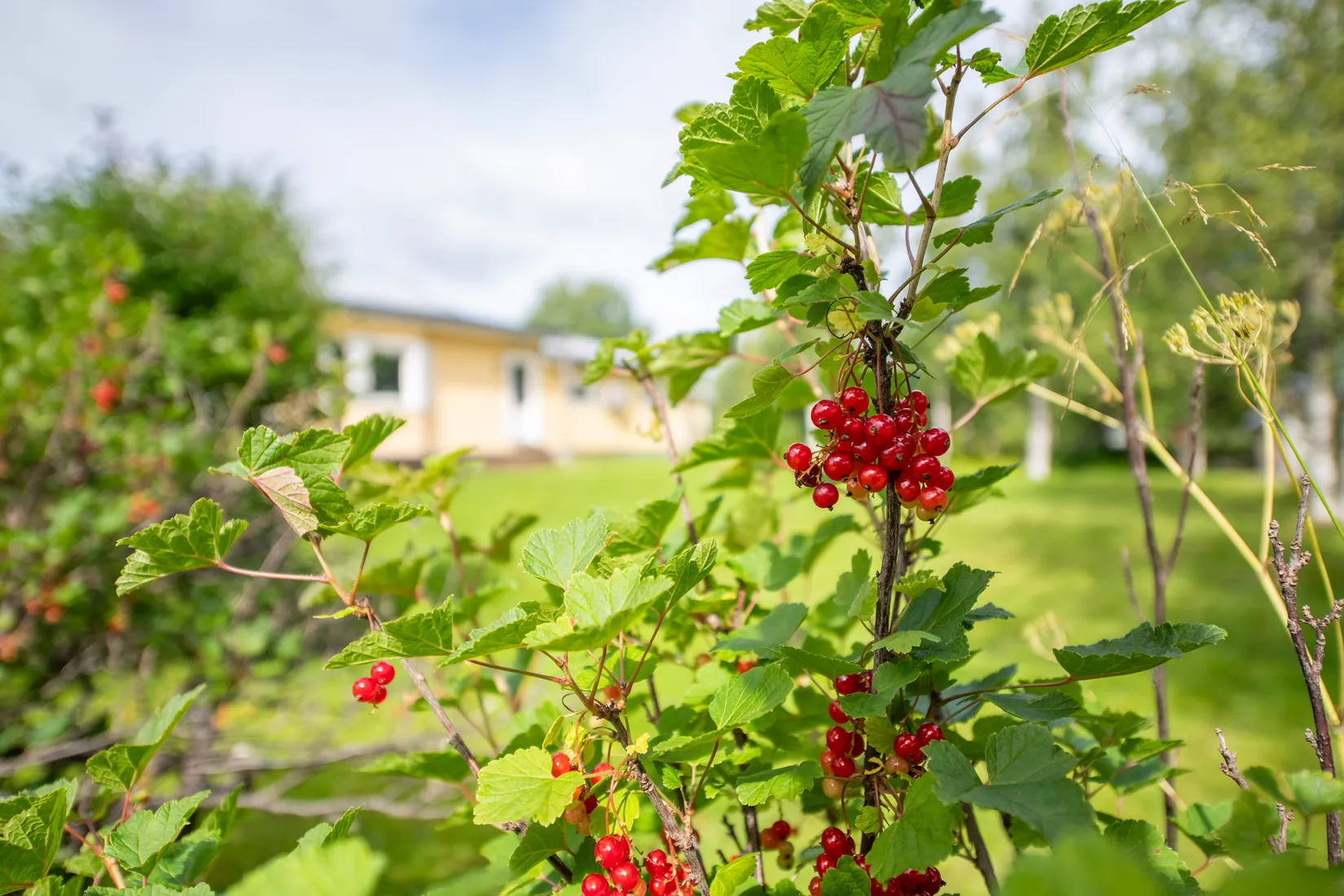 Villa, Ringvägen 21, Malå