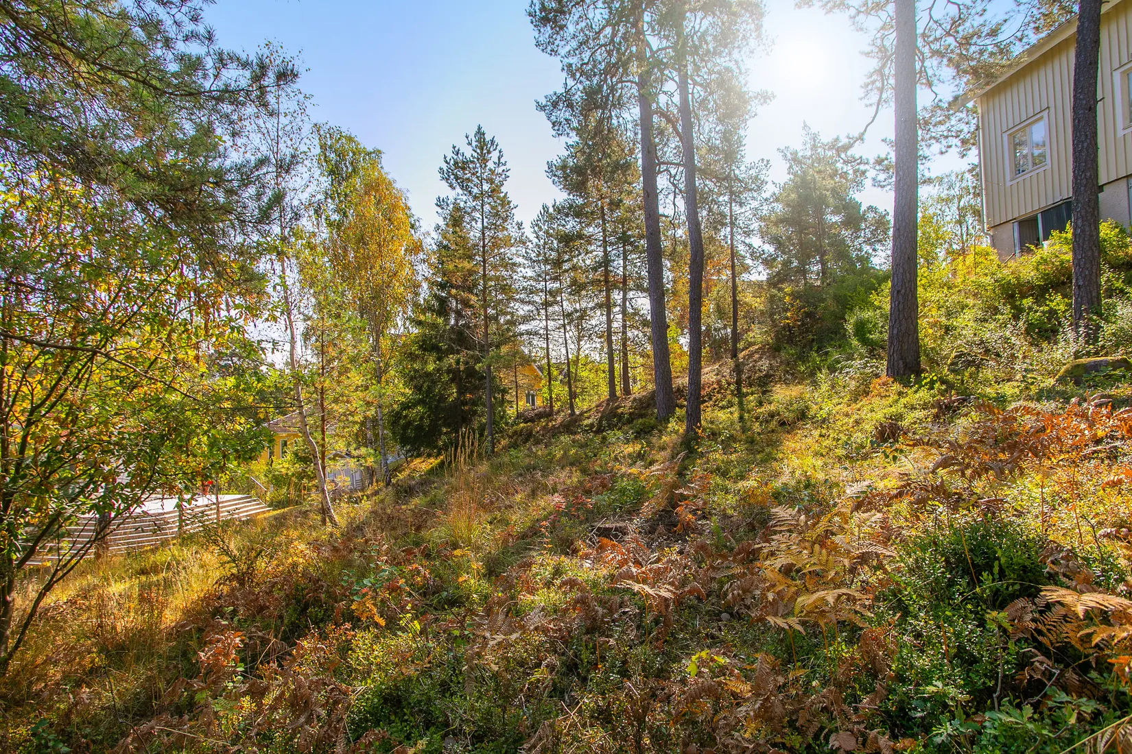 Tomt, Torsvägen 19, Nacka