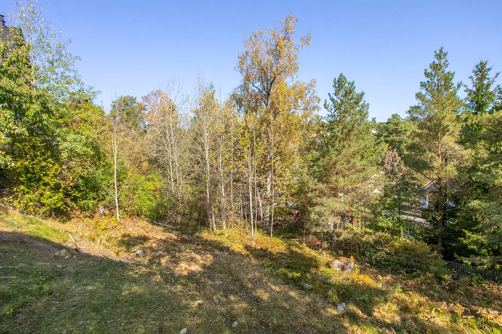 Tomt, Torsvägen 19, Nacka