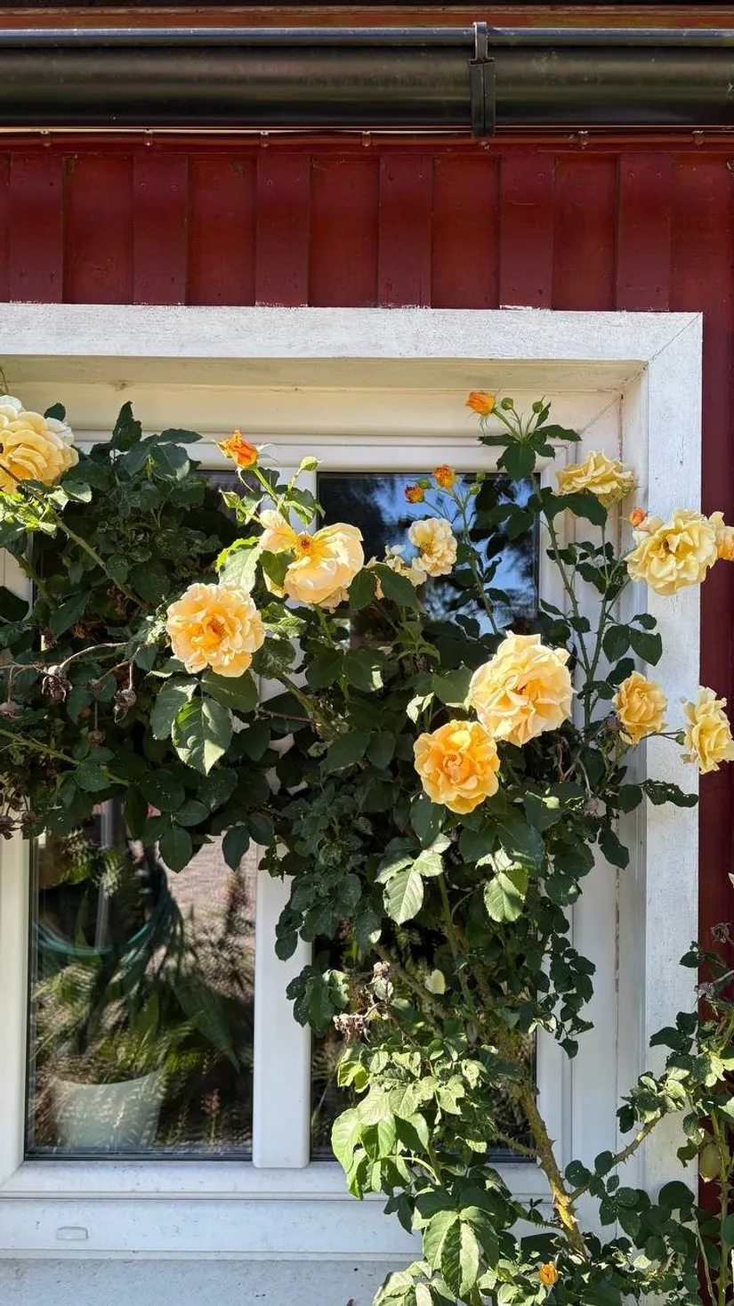 Villa, Västerstad 7138, Hörby