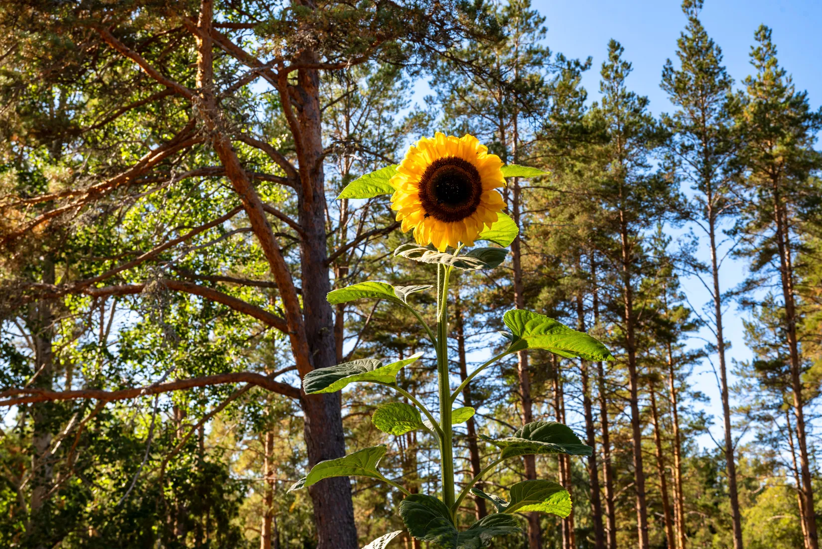 Övrigt, Nylandets väg 28, Hensvik, Norrtälje