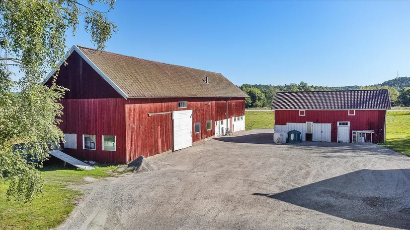 Gård/Skog, Överby 4, Tanum
