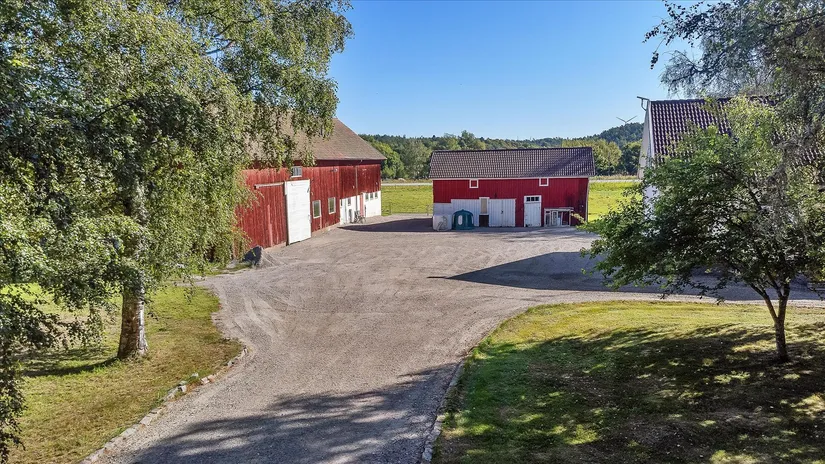 Gård/Skog, Överby 4, Tanum