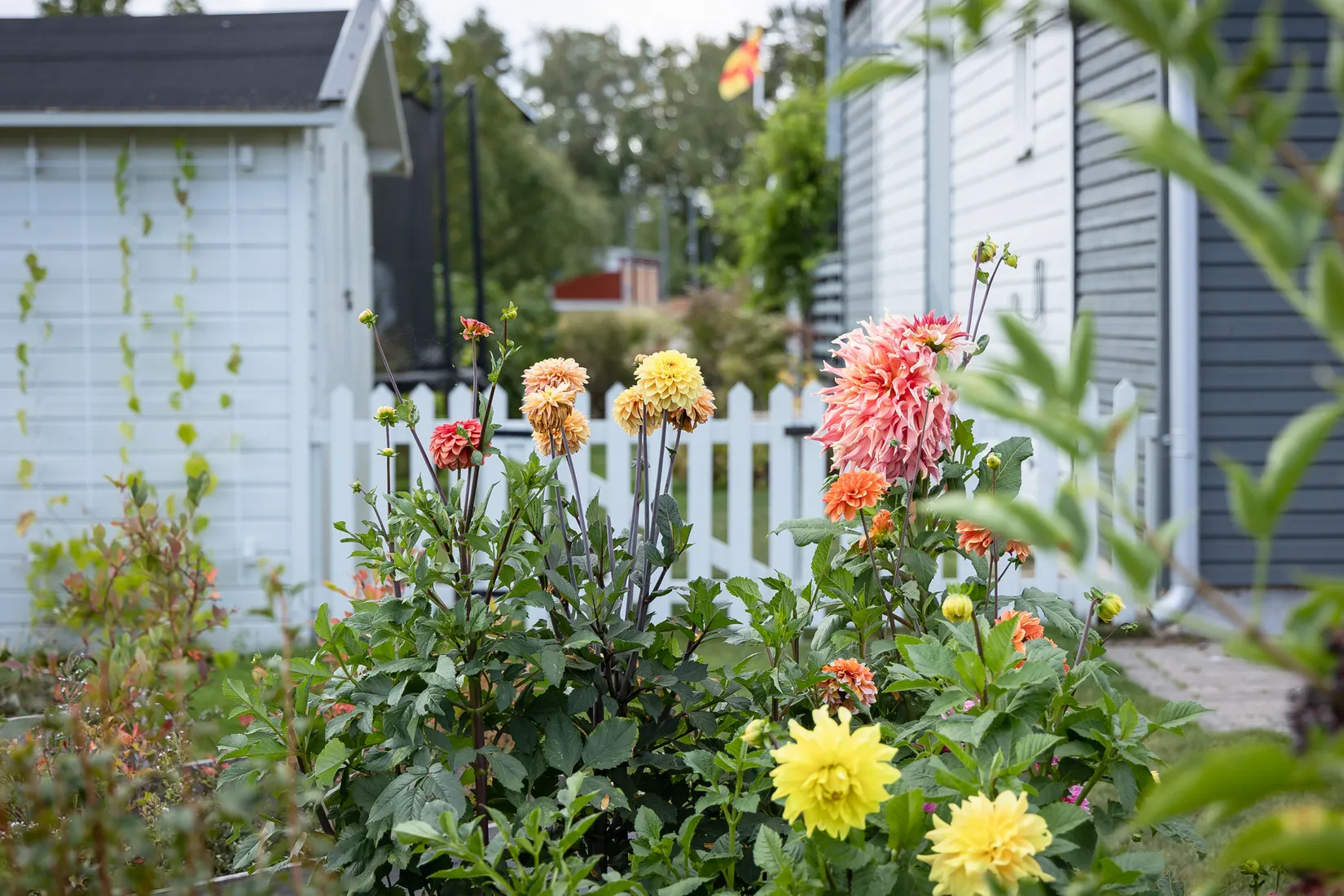 Villa, Rödkålsvägen 1, Ekängen, Linköping