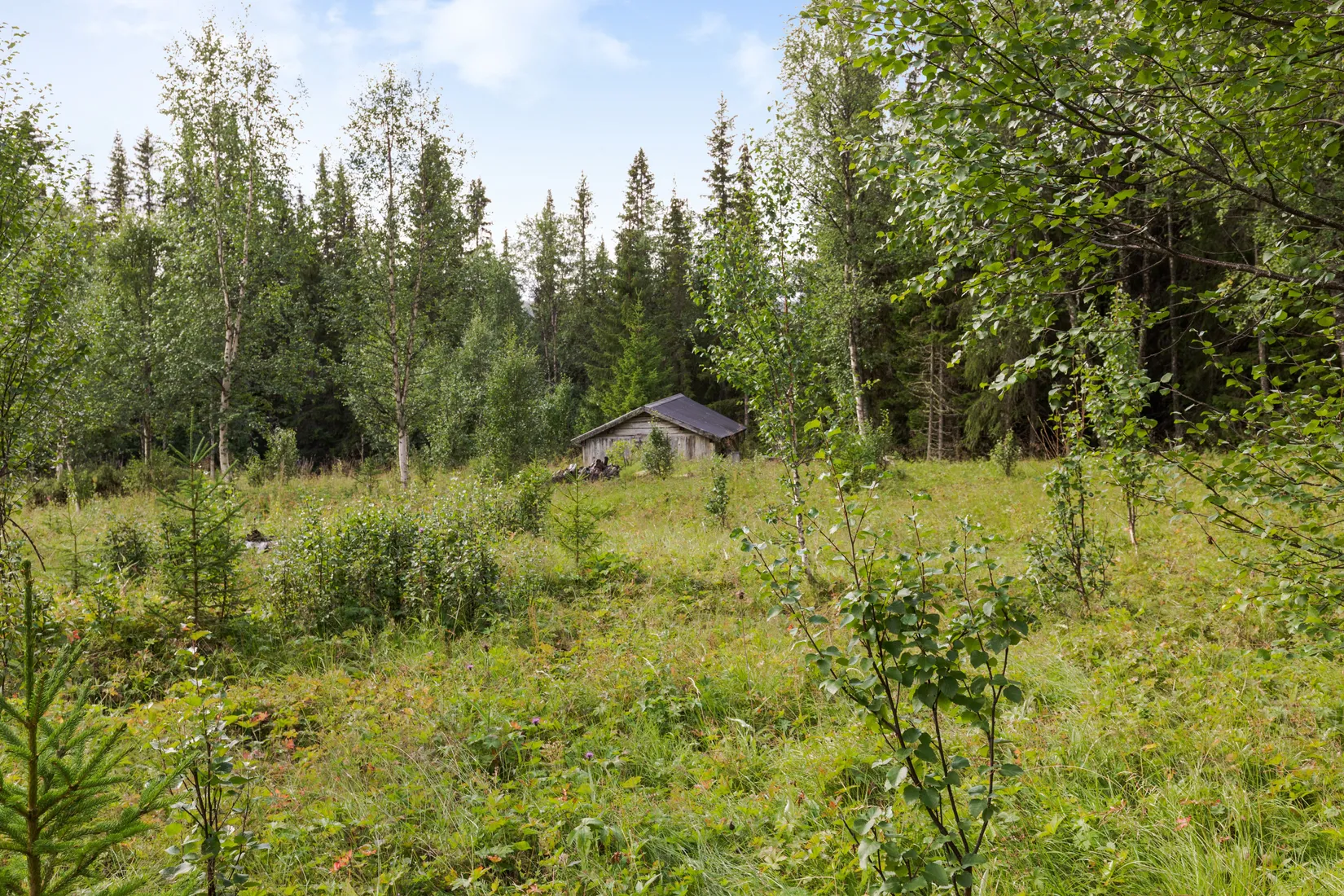Fritidshus, Vintergatan 19, Härjedalen