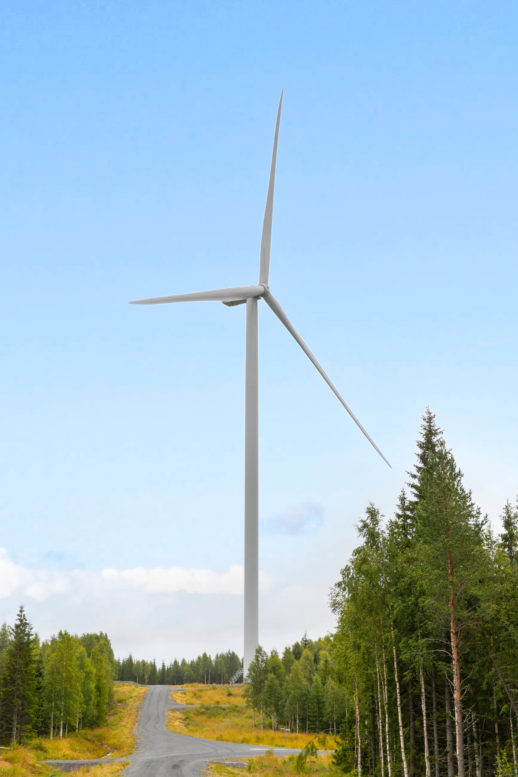 Gård/Skog, Torps-Viken 222, Torpshammar, Ånge