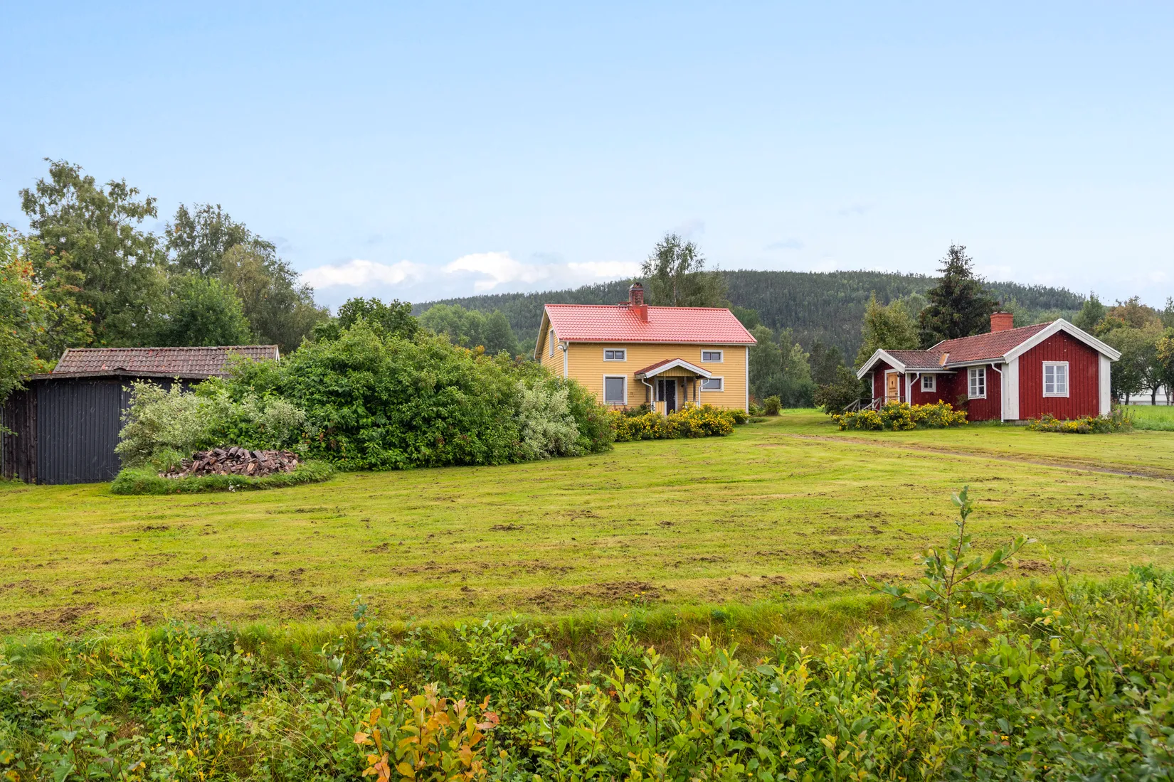 Gård/Skog, Torps-Viken 222, Torpshammar, Ånge