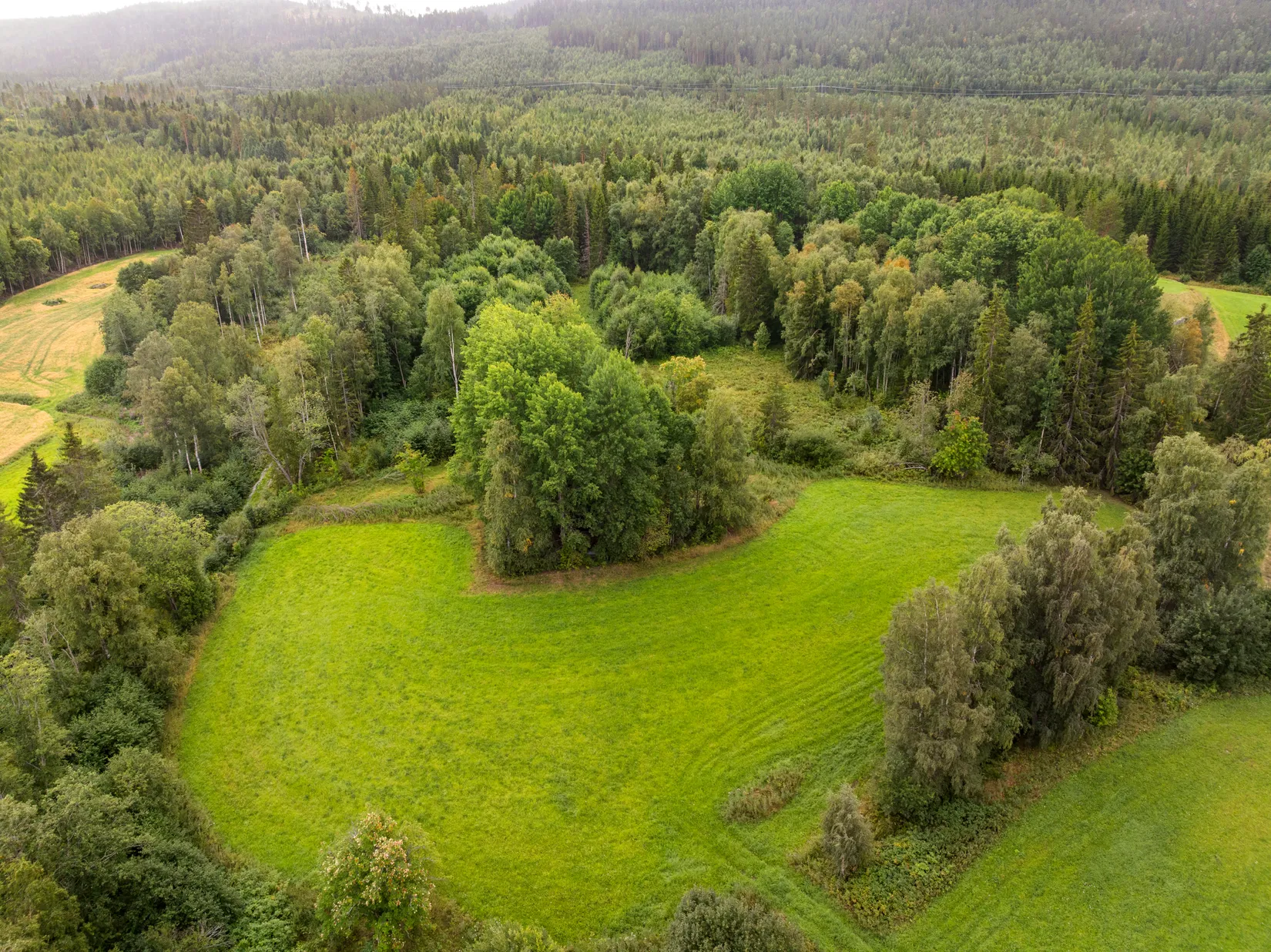 Gård/Skog, Torps-Viken 222, Torpshammar, Ånge
