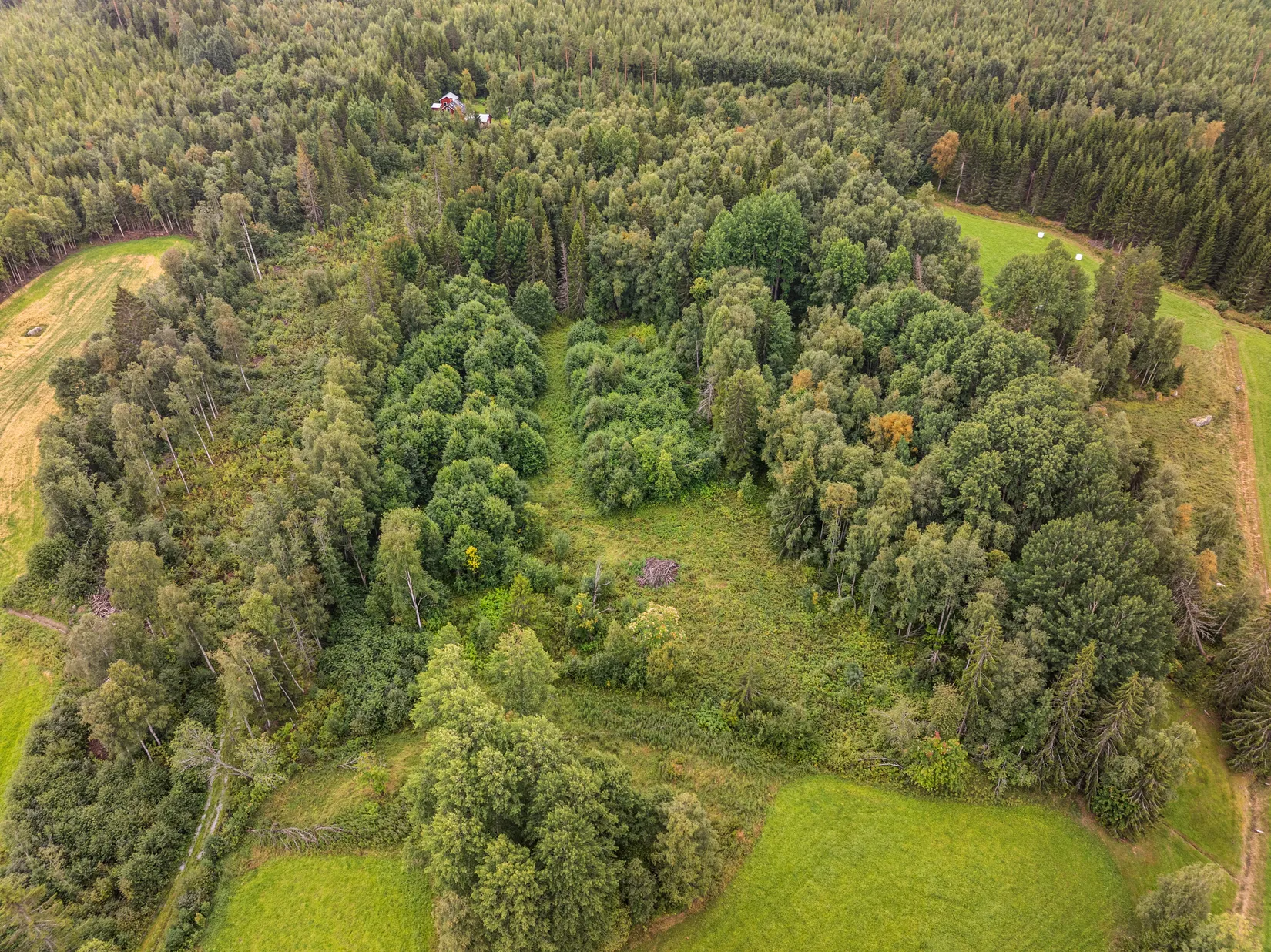 Gård/Skog, Torps-Viken 222, Torpshammar, Ånge