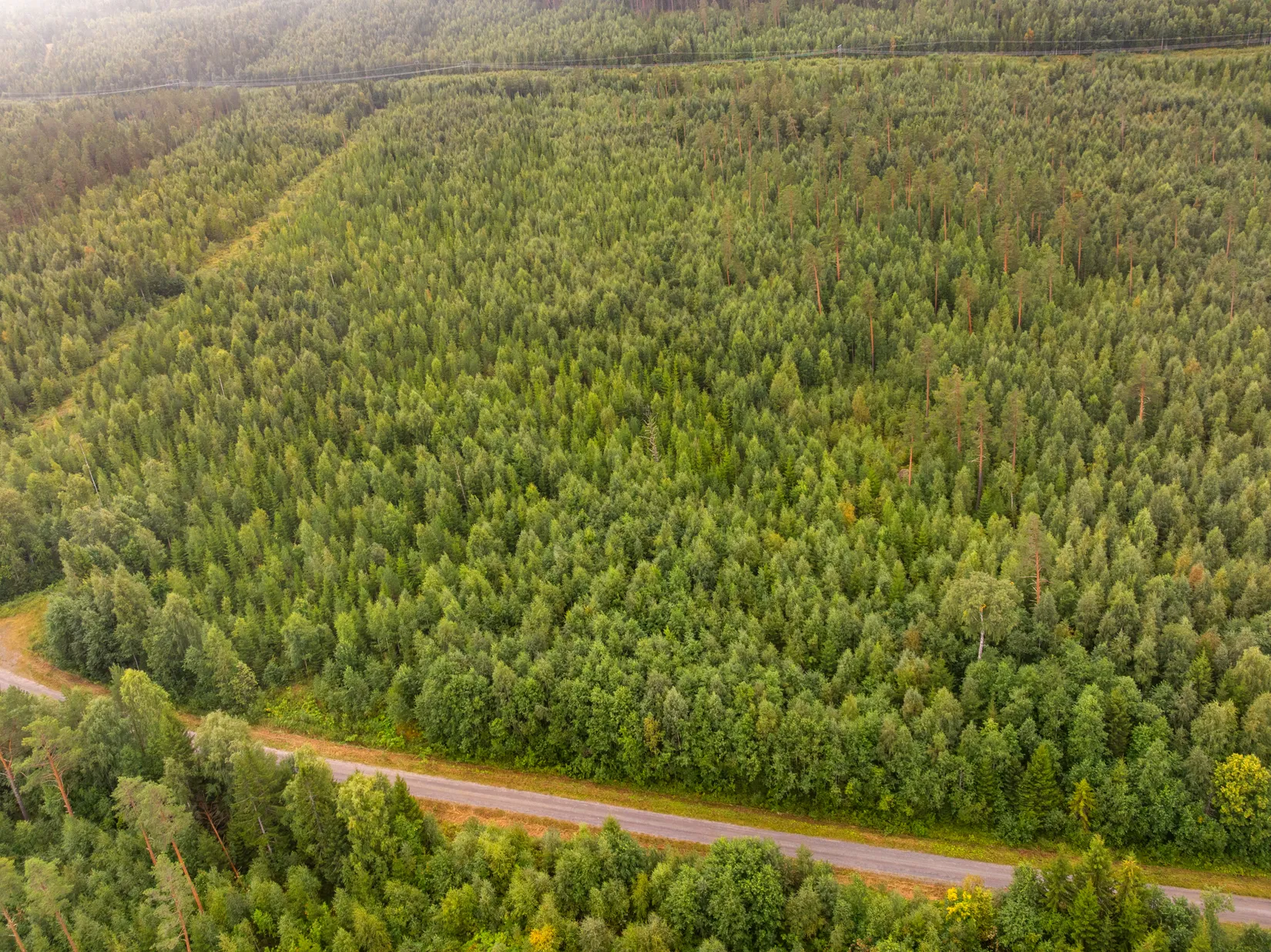 Gård/Skog, Torps-Viken 222, Torpshammar, Ånge
