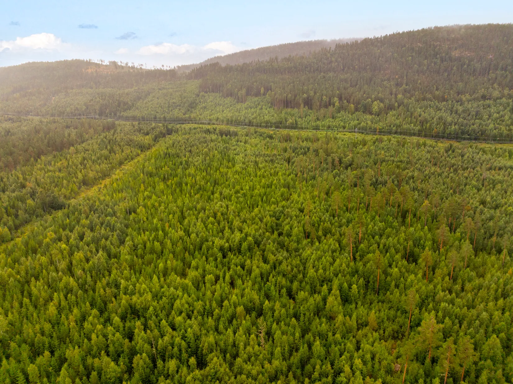 Gård/Skog, Torps-Viken 222, Torpshammar, Ånge