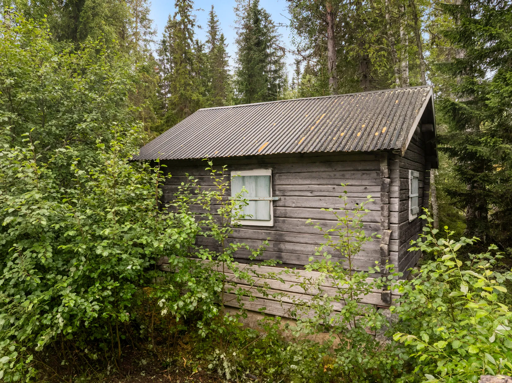 Gård/Skog, Torps-Viken 222, Torpshammar, Ånge