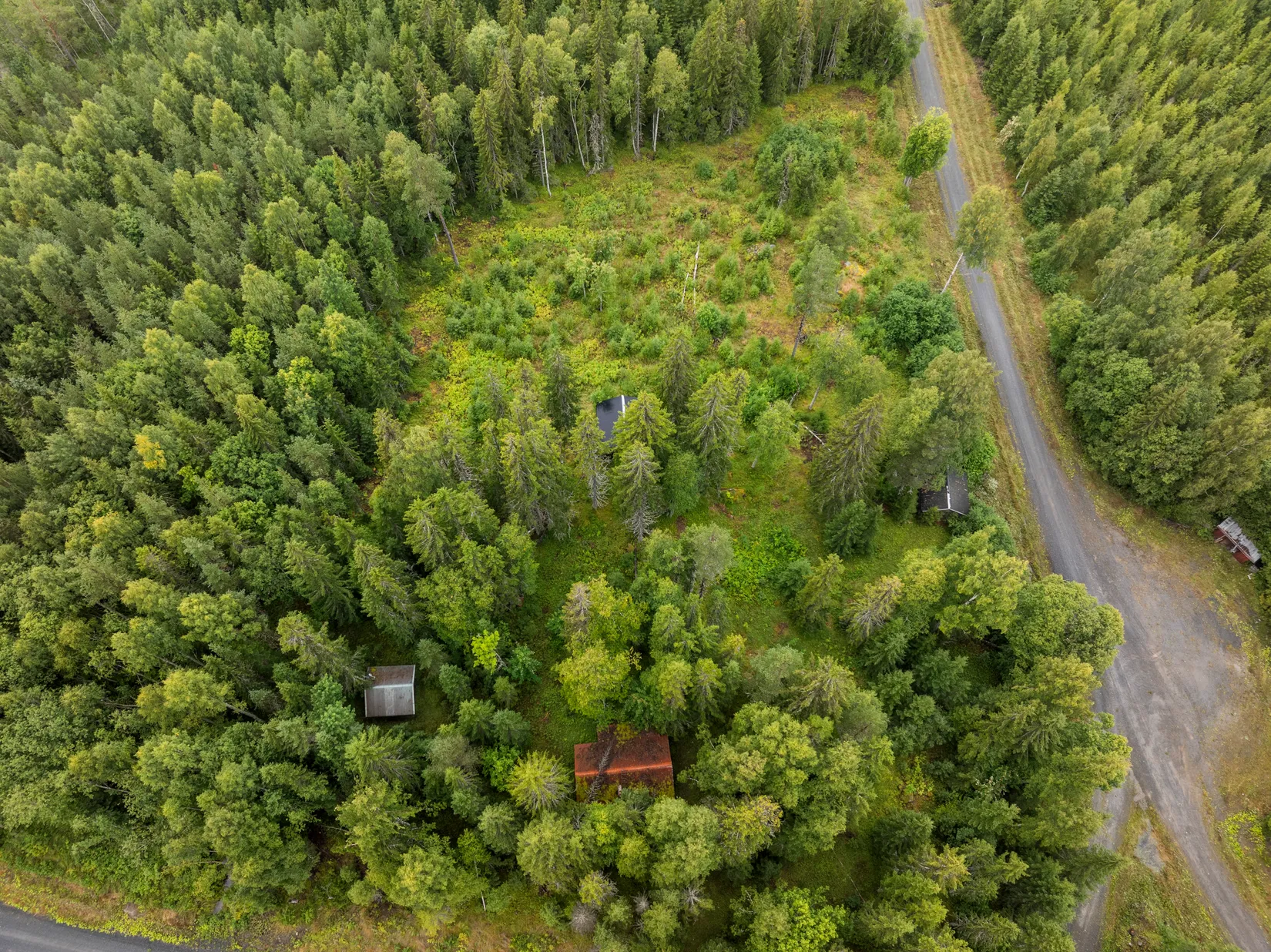 Gård/Skog, Torps-Viken 222, Torpshammar, Ånge