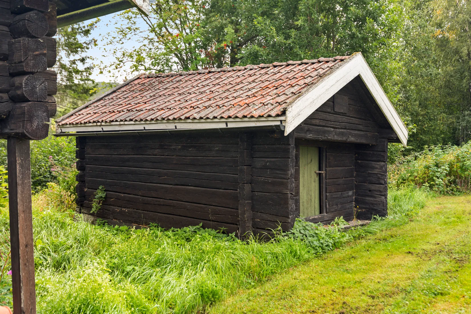Gård/Skog, Torps-Viken 222, Torpshammar, Ånge