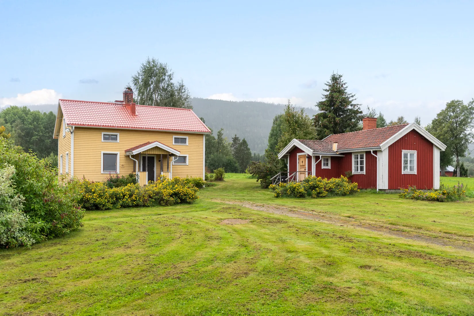 Gård/Skog, Torps-Viken 222, Torpshammar, Ånge