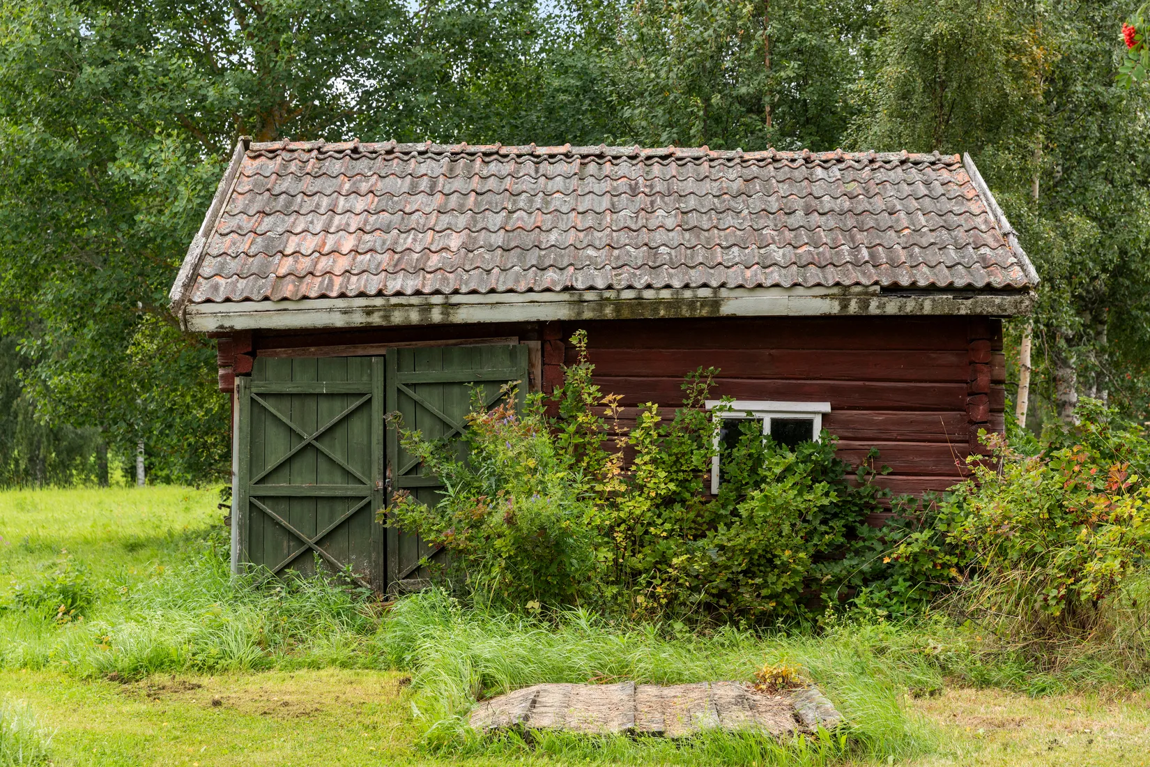 Gård/Skog, Torps-Viken 222, Torpshammar, Ånge