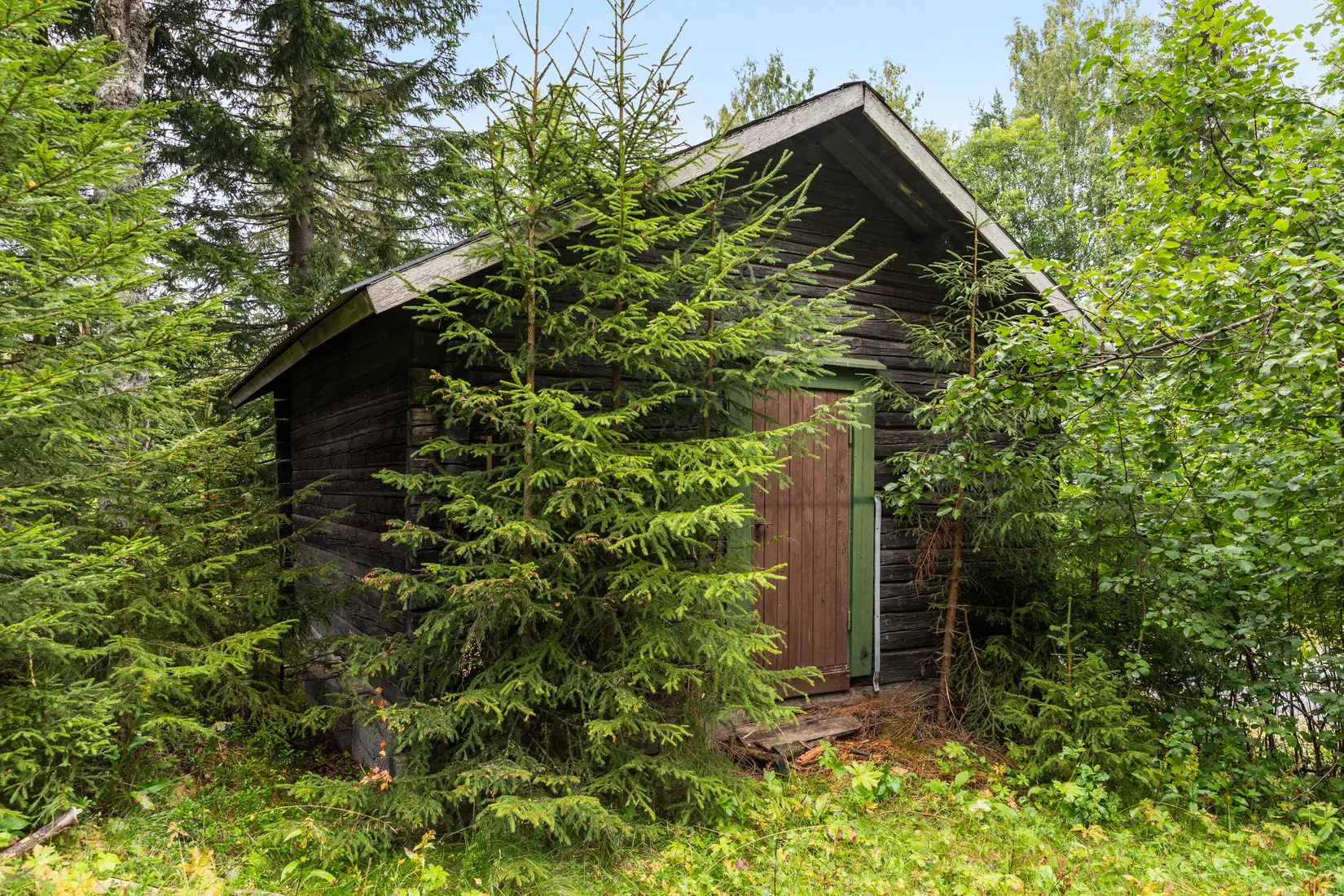 Gård/Skog, Torps-Viken 222, Torpshammar, Ånge