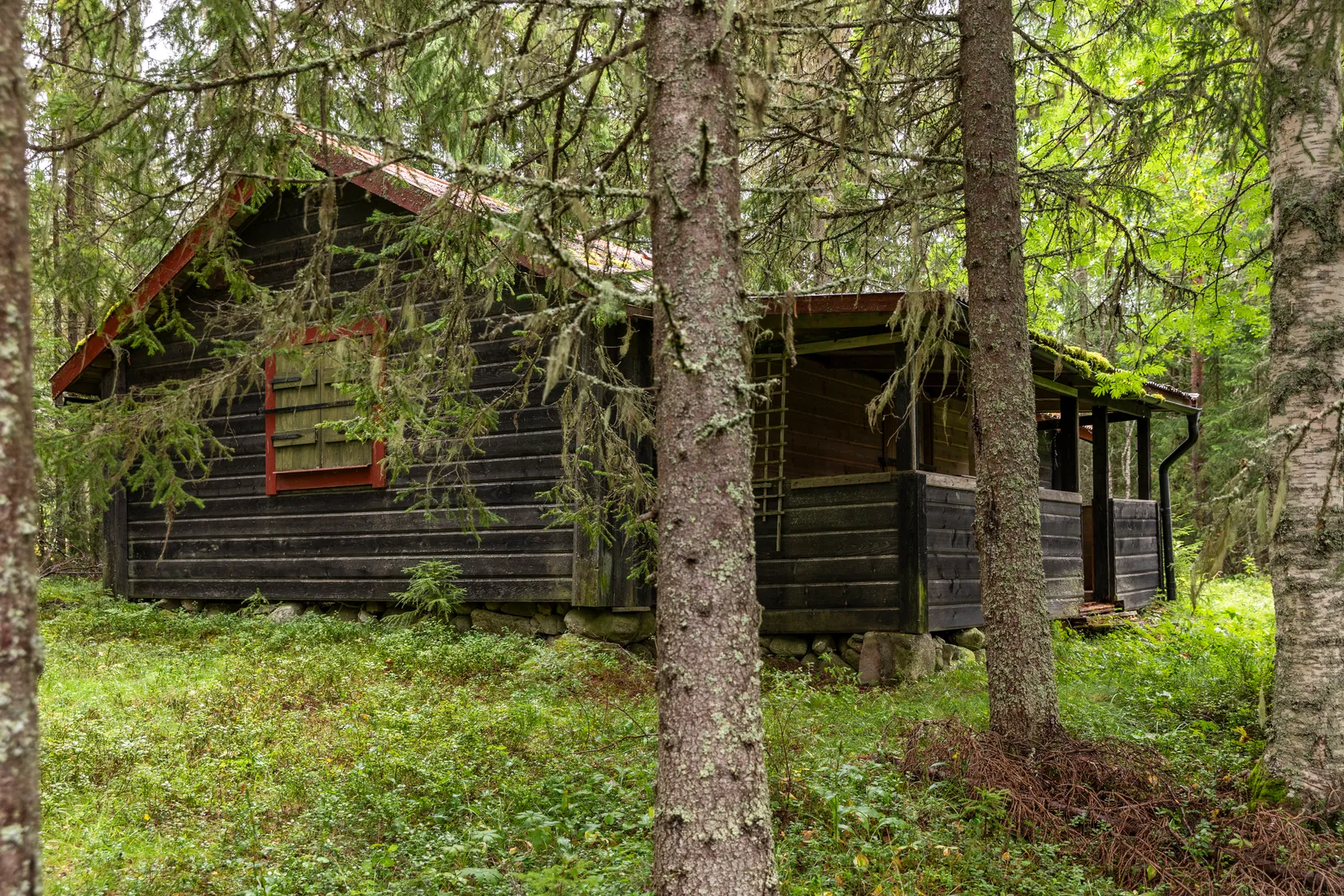 Gård/Skog, Torps-Viken 222, Torpshammar, Ånge