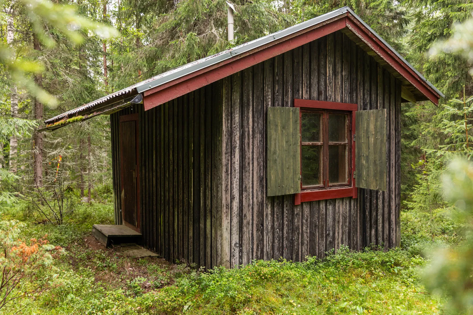Gård/Skog, Torps-Viken 222, Torpshammar, Ånge