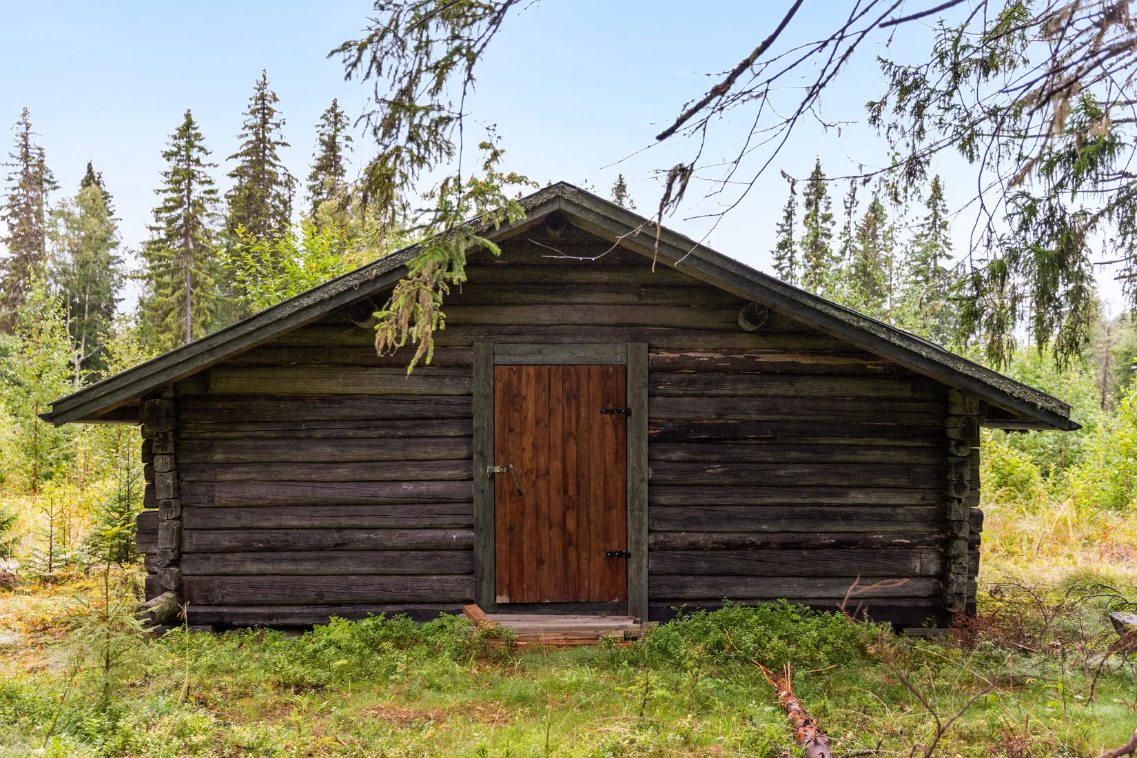 Gård/Skog, Torps-Viken 222, Torpshammar, Ånge