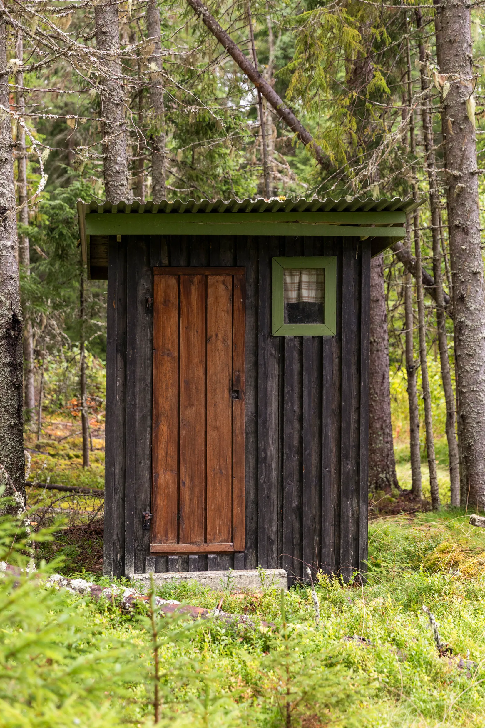 Gård/Skog, Torps-Viken 222, Torpshammar, Ånge