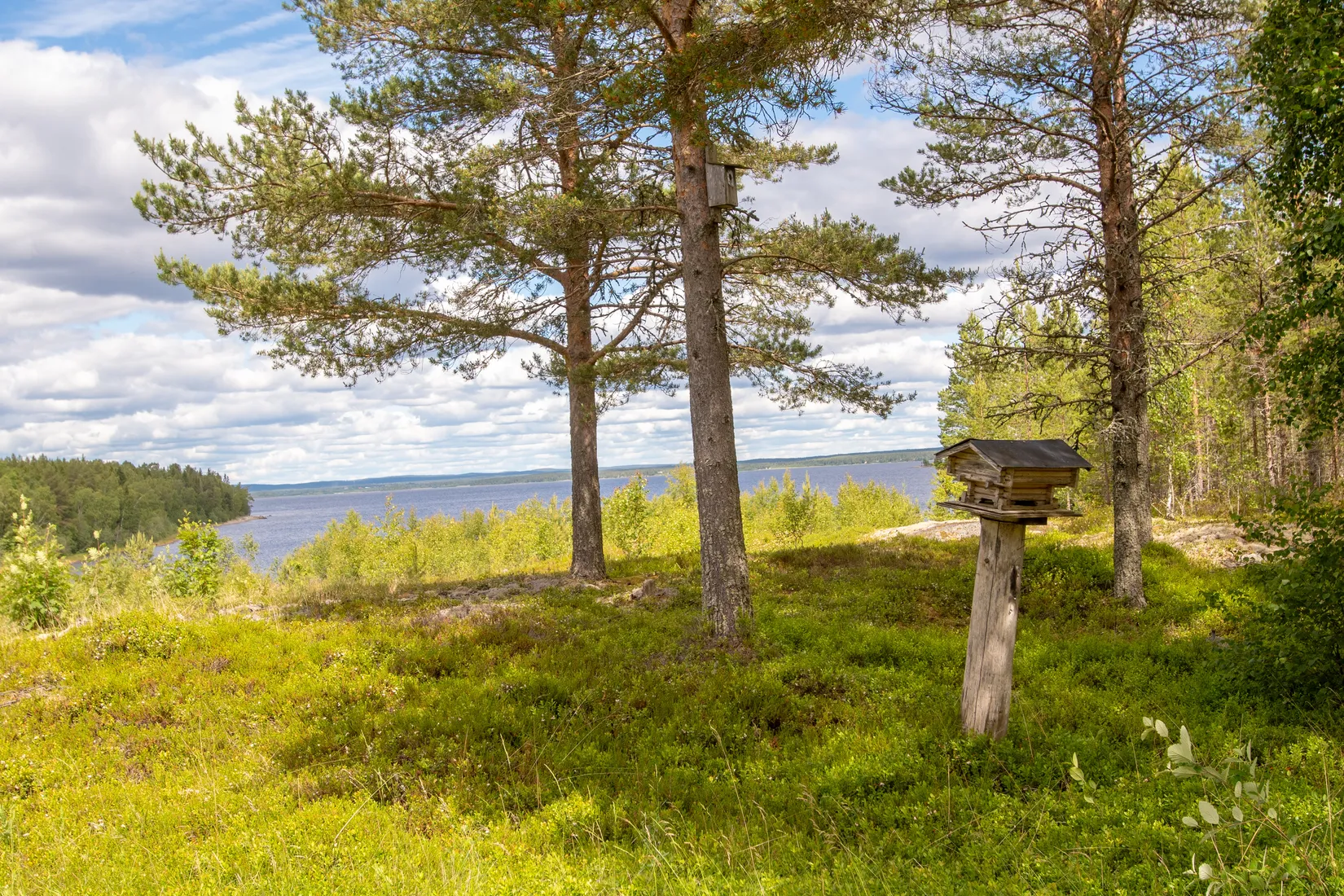 Fritidshus, Storängsvägen 54, Lögdeå/Nordmaling, Nordmaling